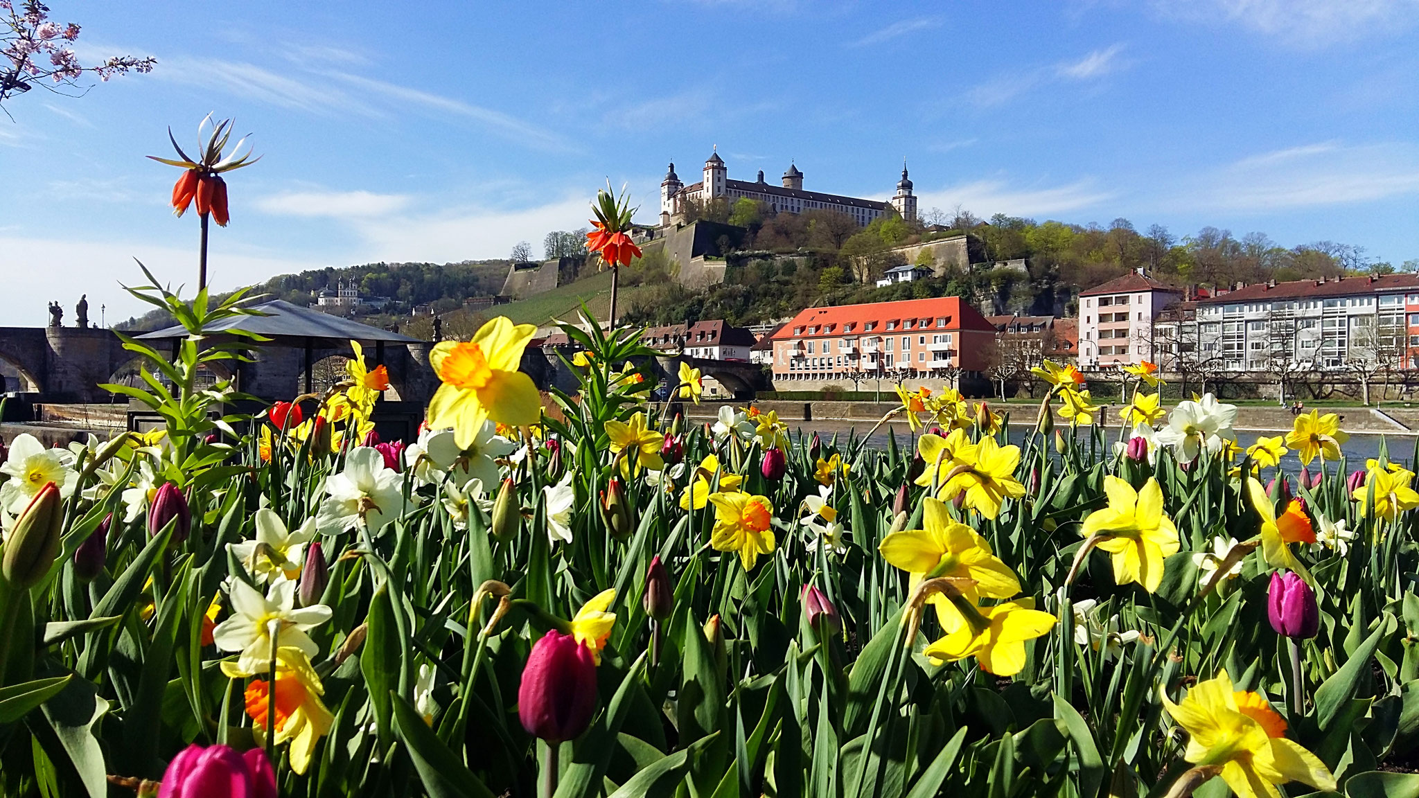 Festung Marienberg, Würzburg