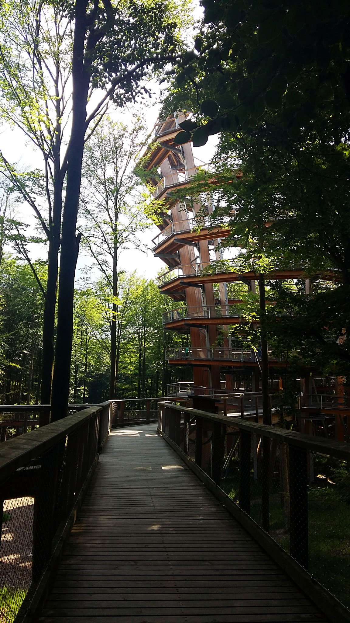 Baumwipfelpfad Steigerwald