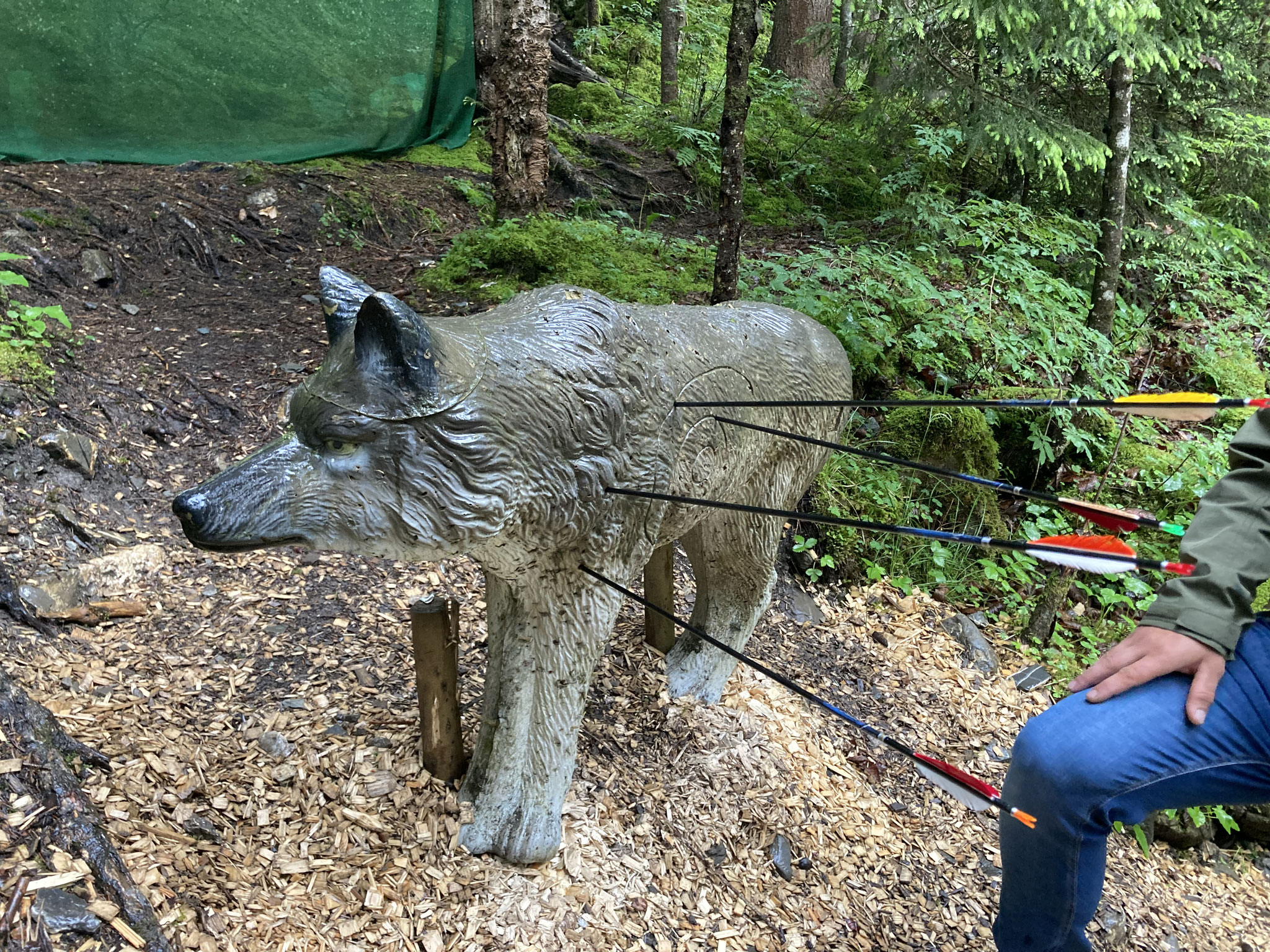 Wolf tot - die Walliser wären stolz auf uns!