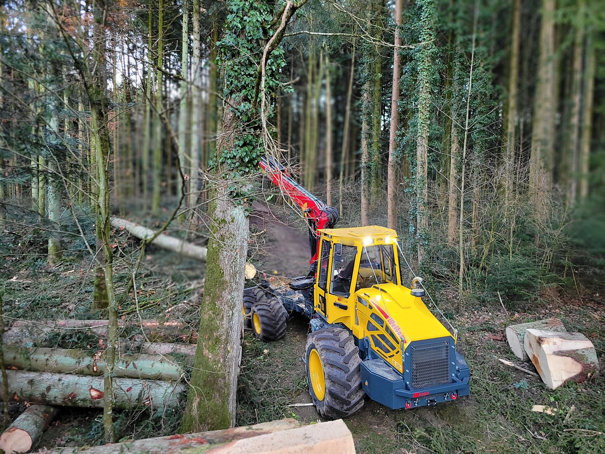 Rückearbeiten bei besten Bodenverhältnissen