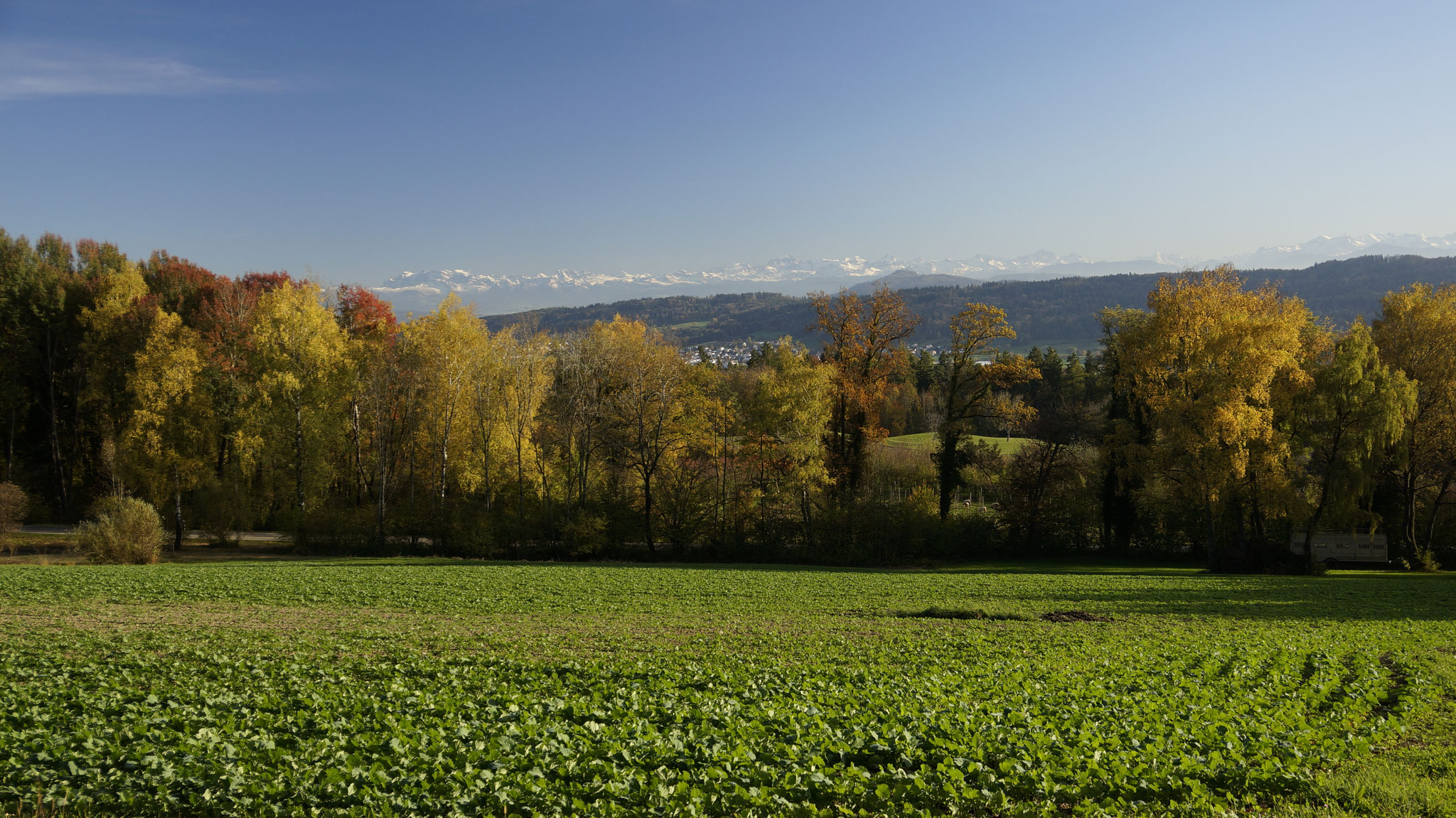 26.10.2017::Weidstöckli Richtung Alpenkette