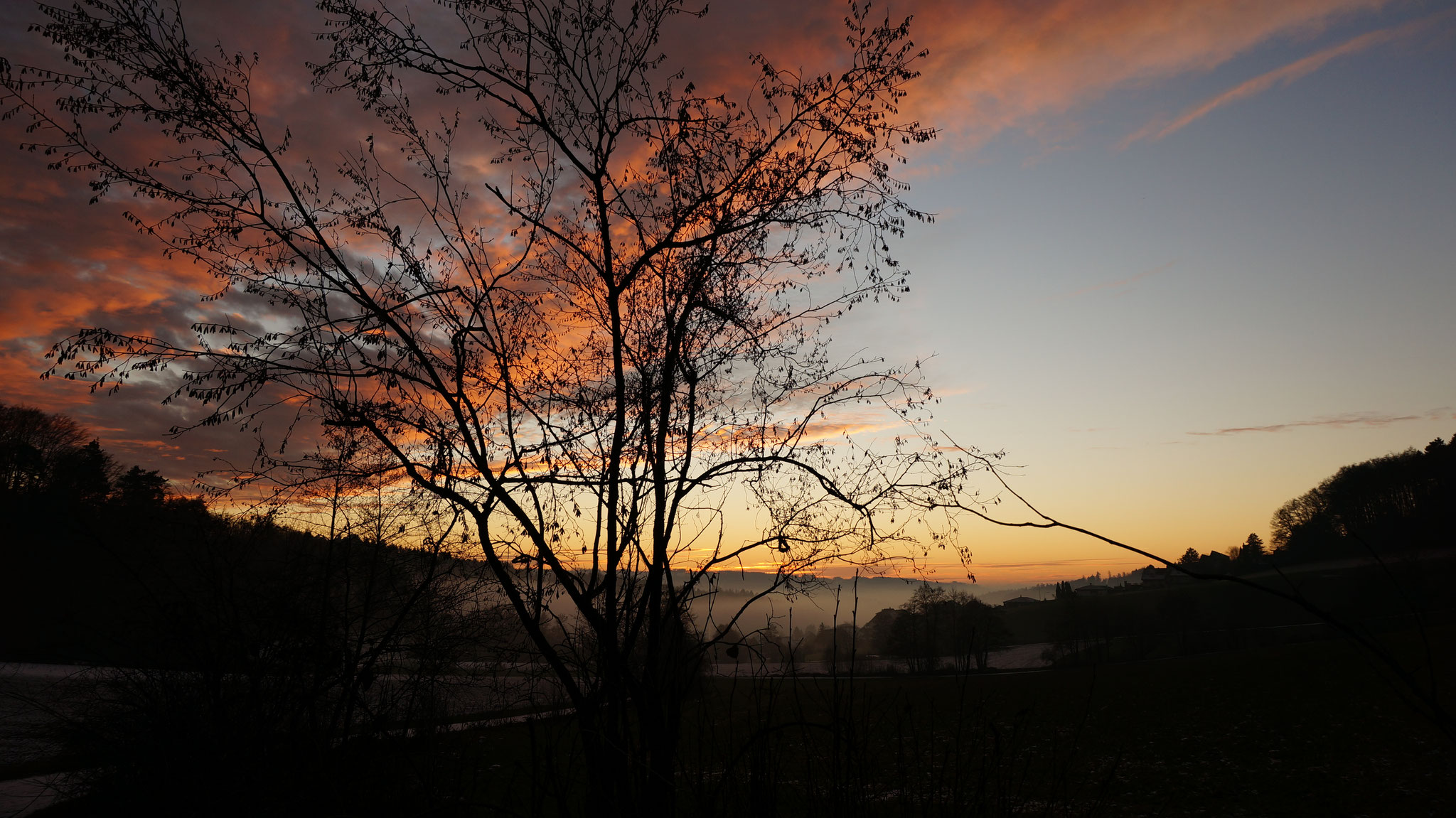 15.12.2013::Abendrot