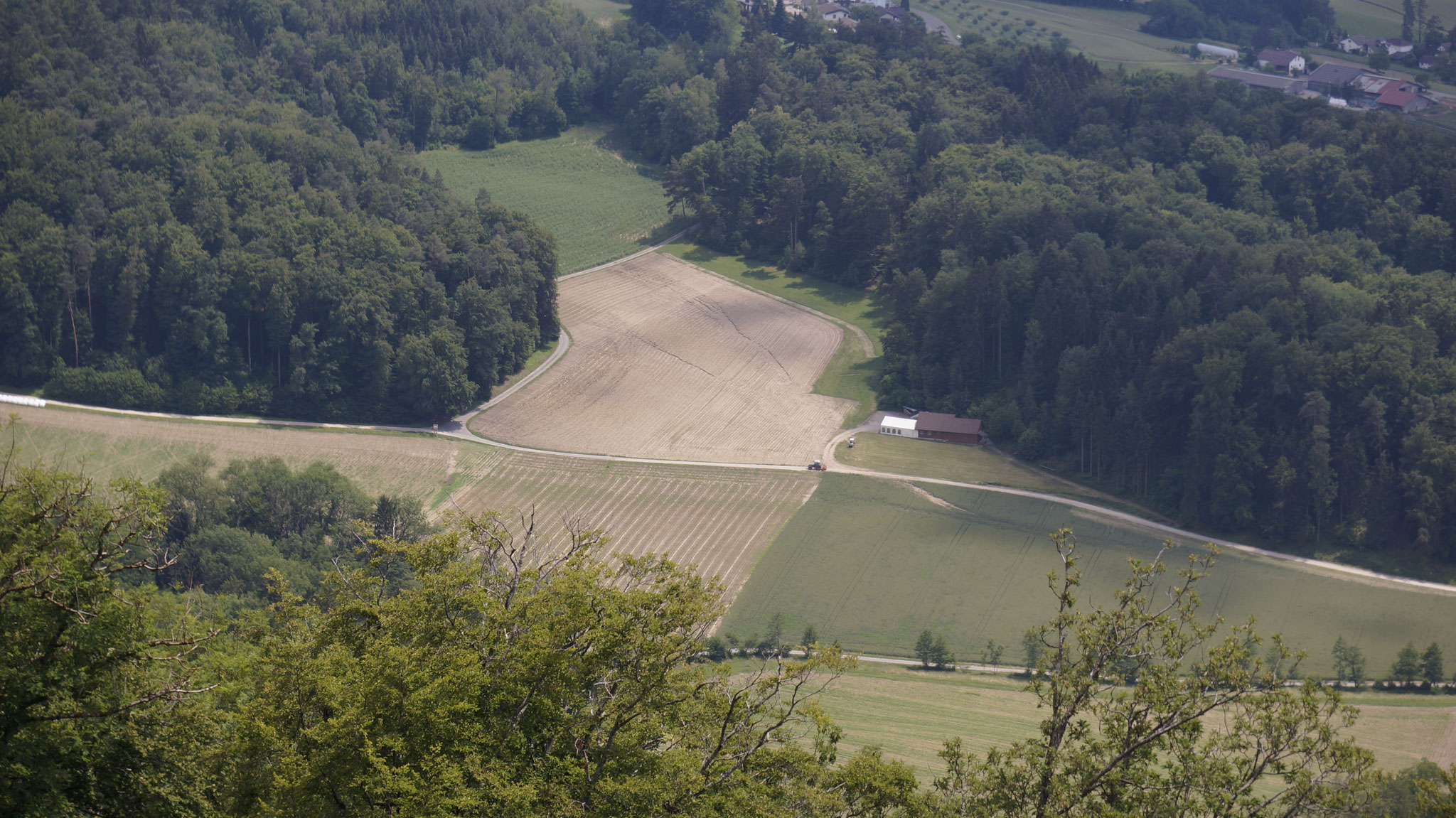 Wasserbahnen im Acker und im Getreidefeld