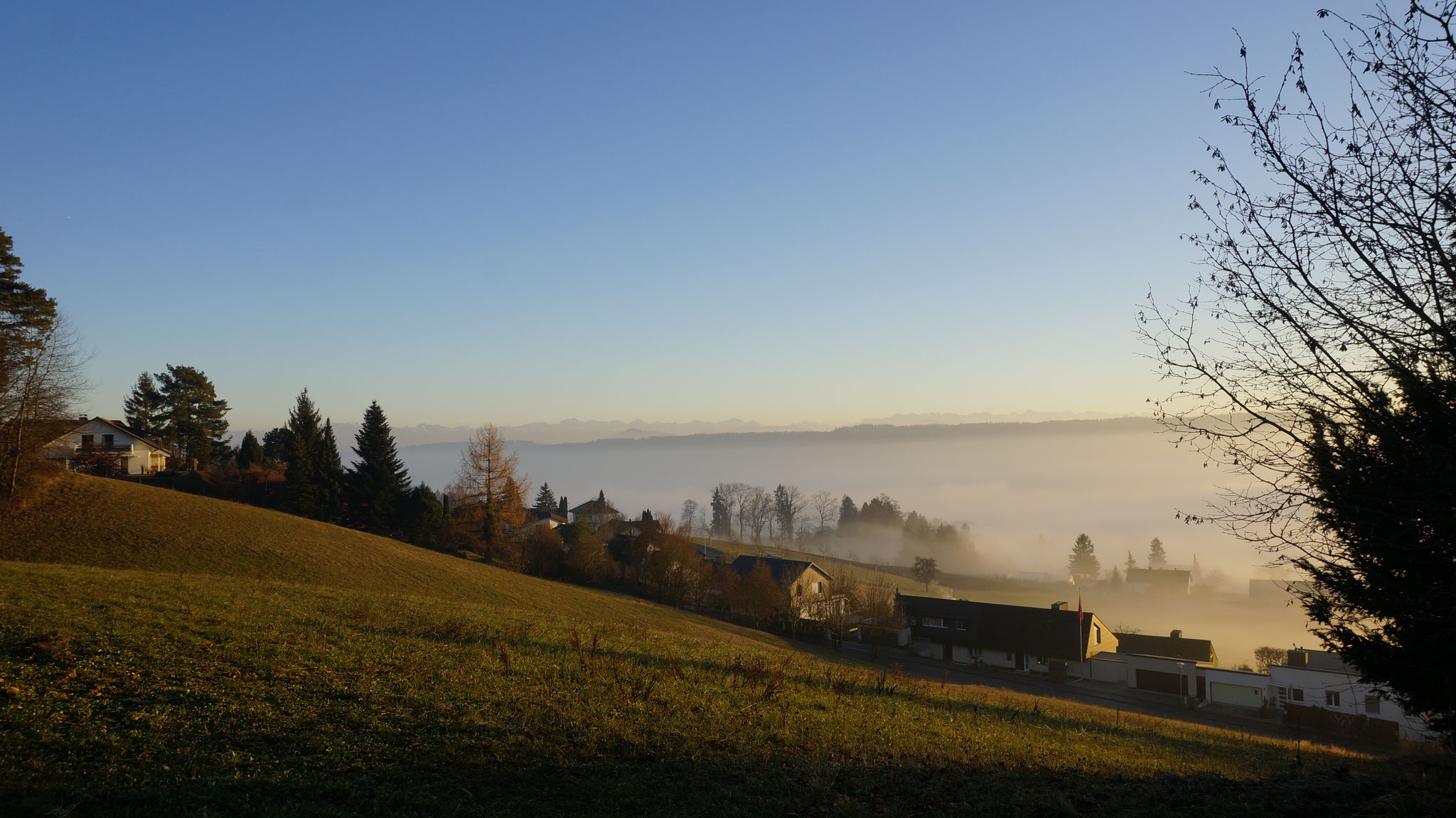 14.12.2016::Oberhalb Rebbergstrasse