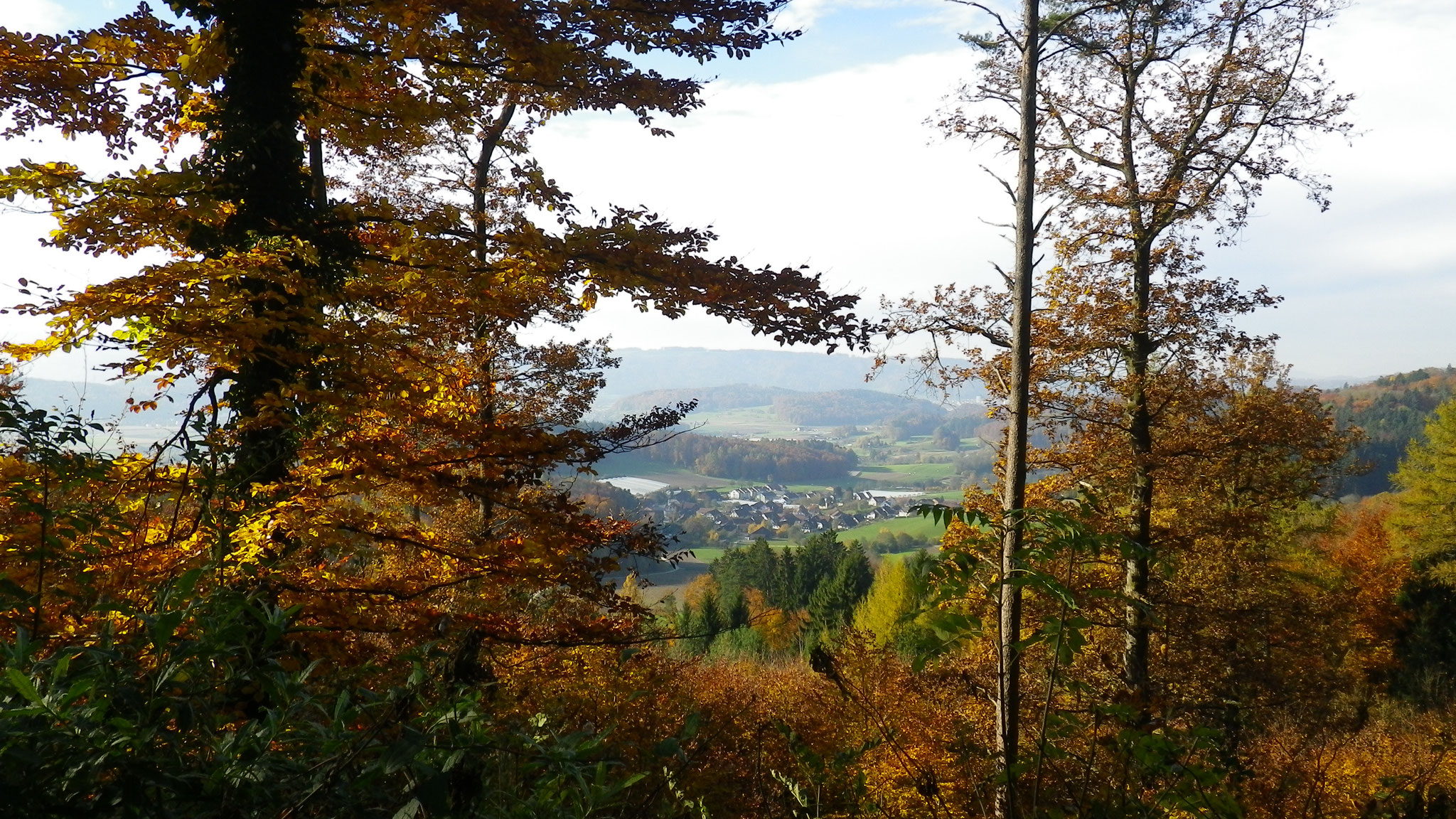 31.10.2010::Boppelsen, Sicht vom Cholholz 