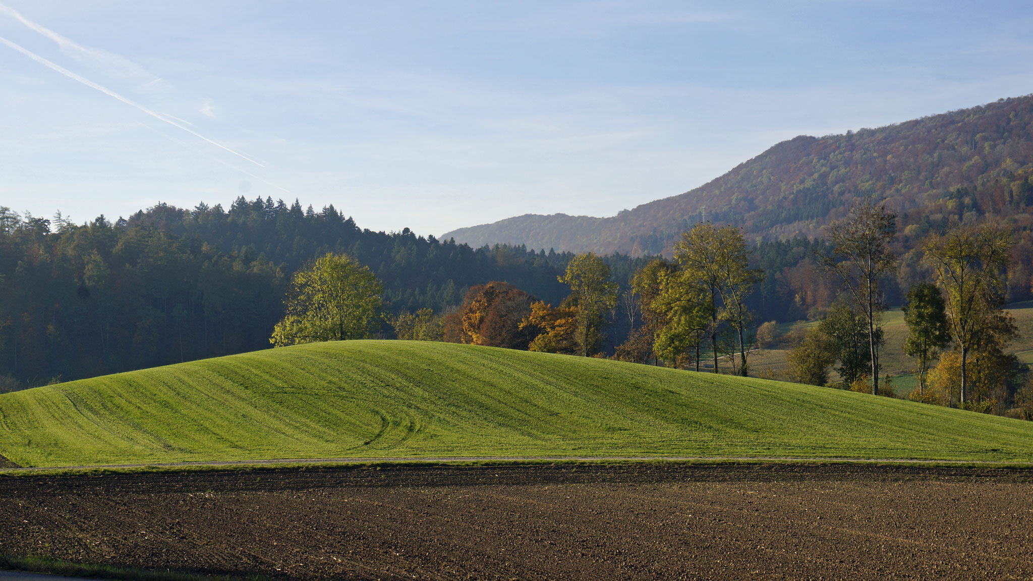 1.11.2016::Boppelsen West::Isenbüel (Gemeinde->Otelfingen)