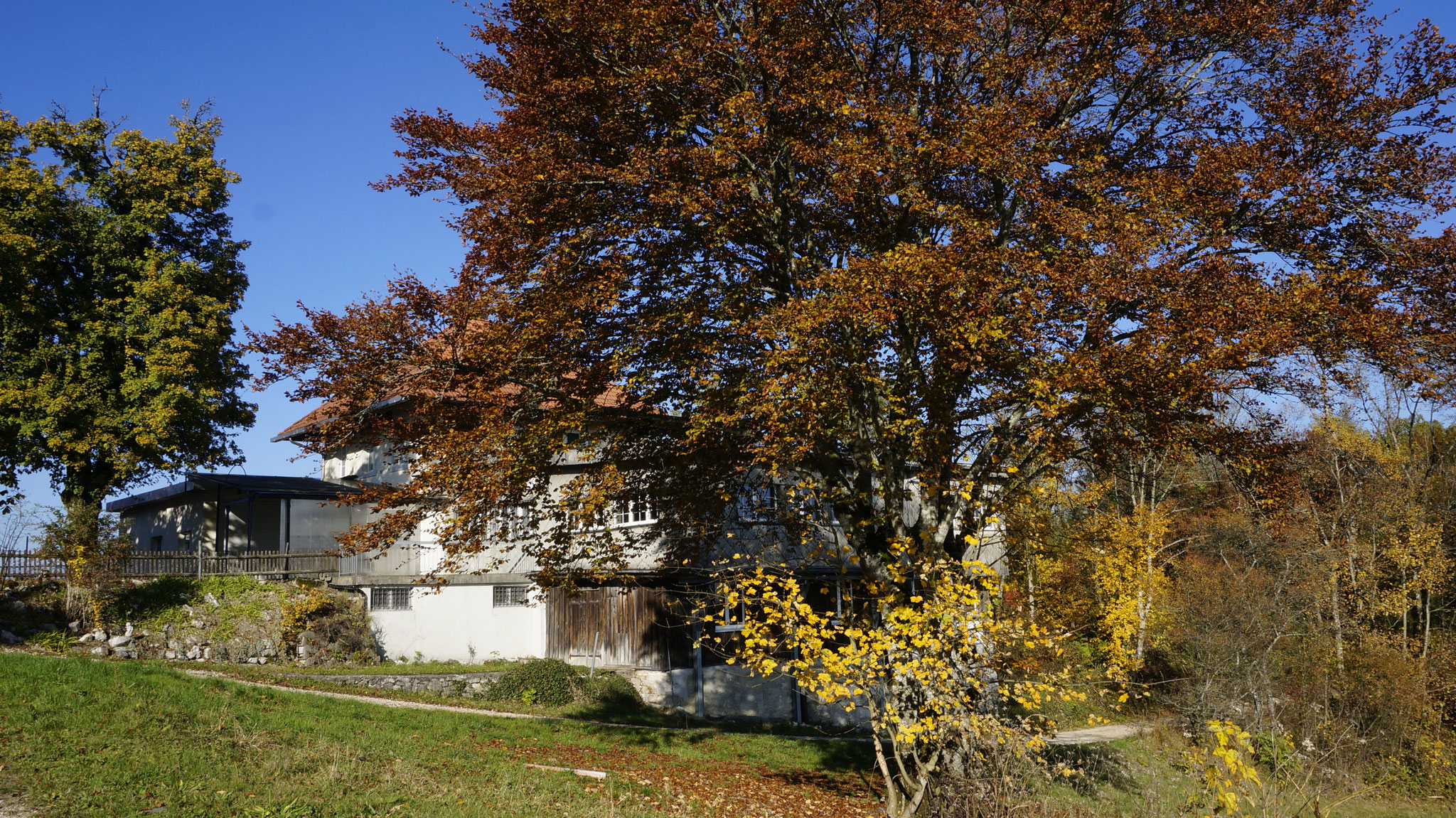 27.10.2016