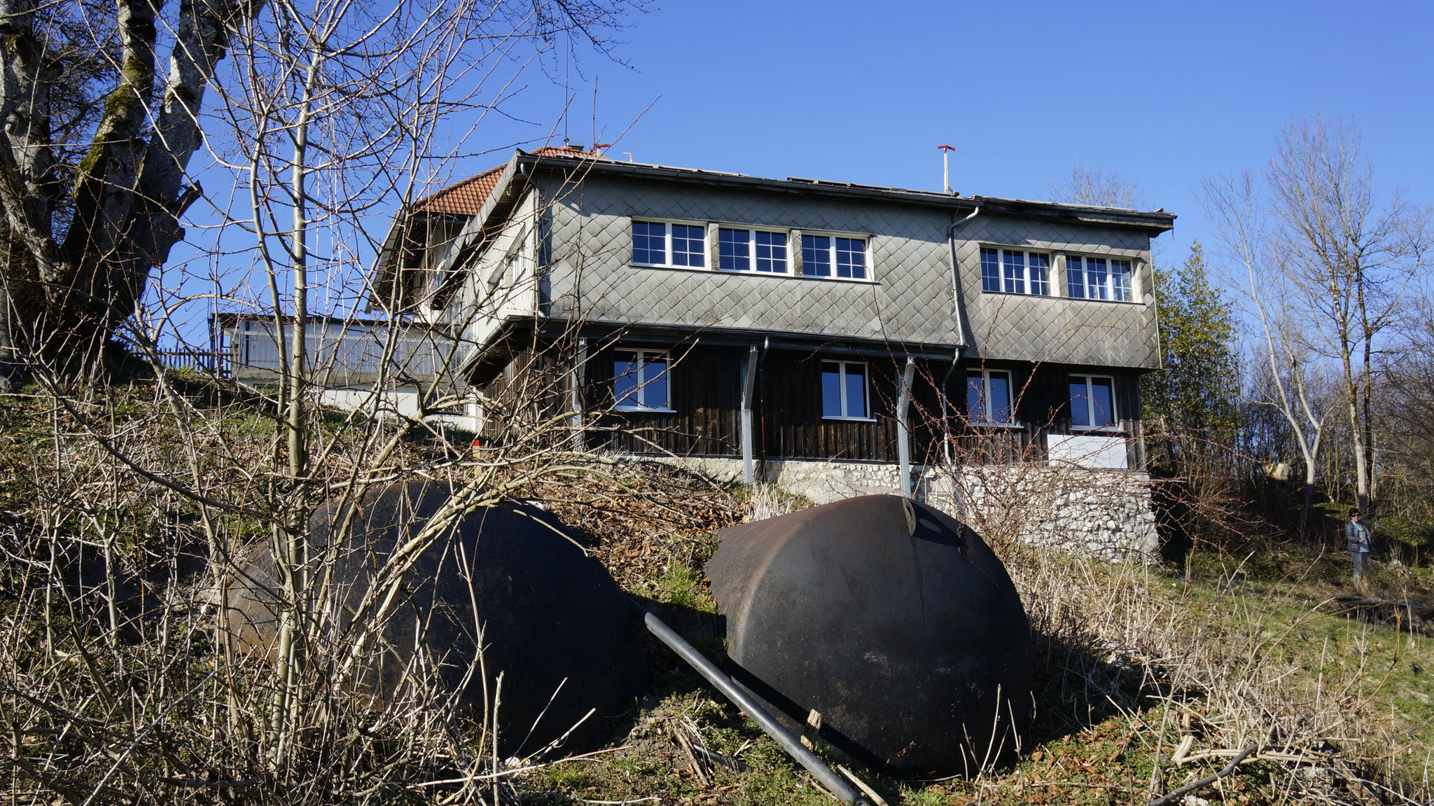 16.3.2017::Altlasten südlich des Restaurants in der Wiese