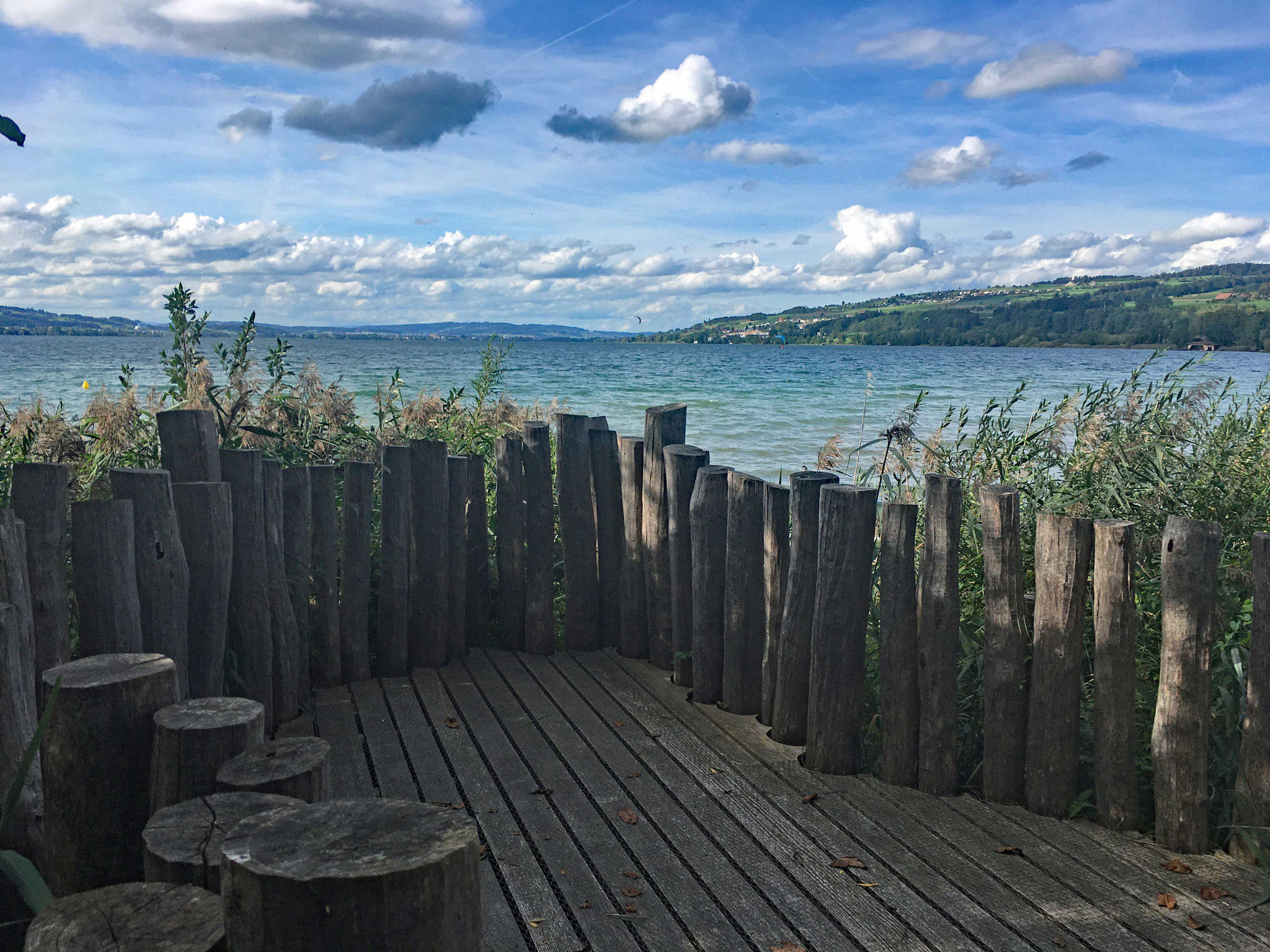 28.9.2019::Vogelwarte am Sempachersee