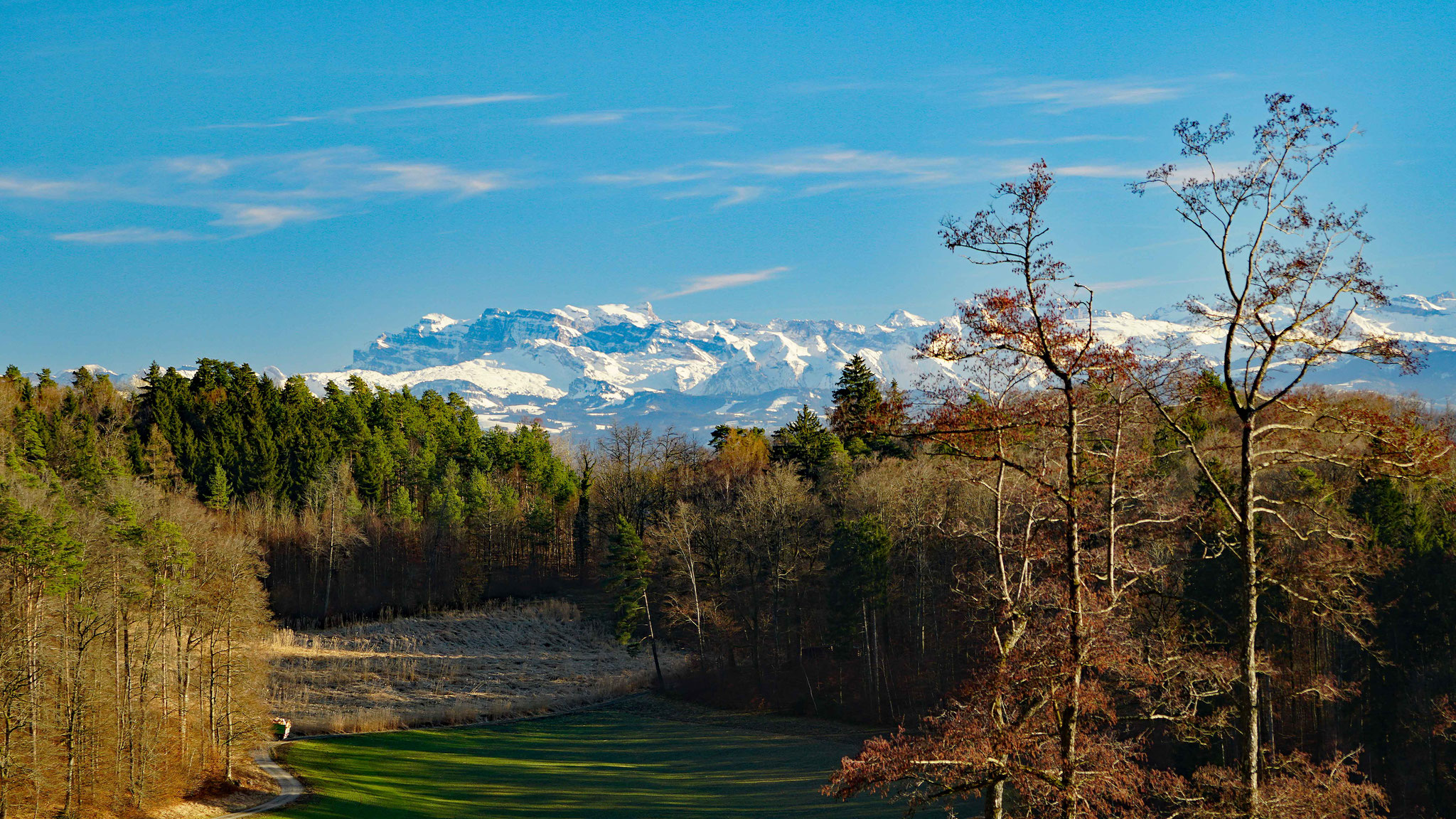 8.2.2022::Sicht vom Reservoir Loch in die Alpen