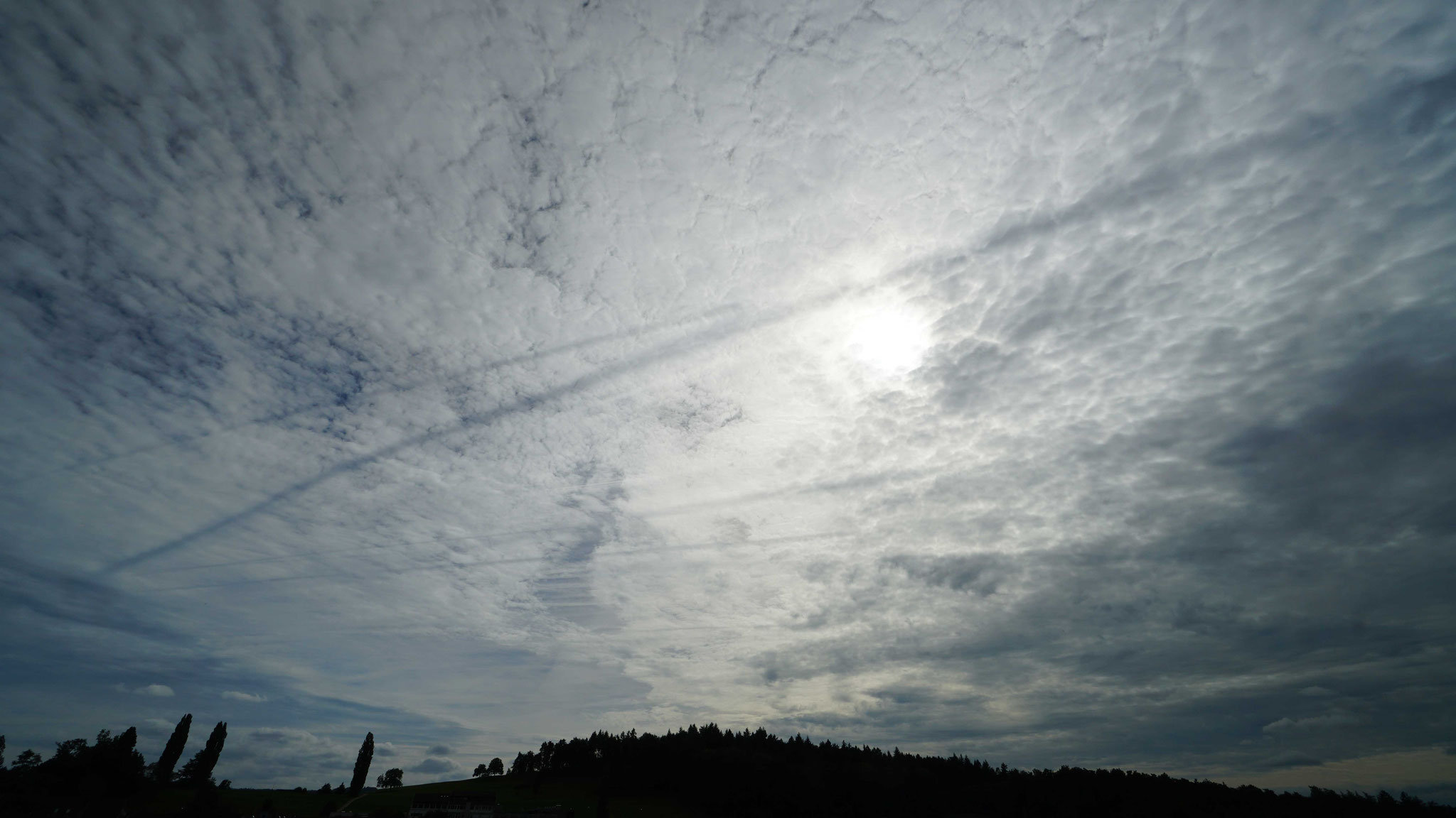 25.9.2024::Schatten hoher Kondensstreifen auf darunterliegenden Wolken
