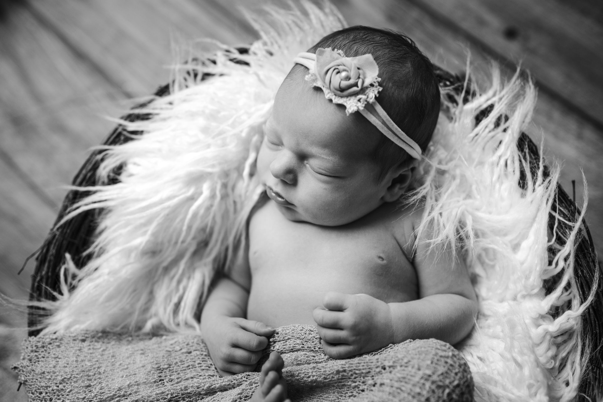 Babyshooting Babybilder Neugeborenenbilder Newbornshooting Bielefeld Schloß Holte Gütersloh Verl Paderborn