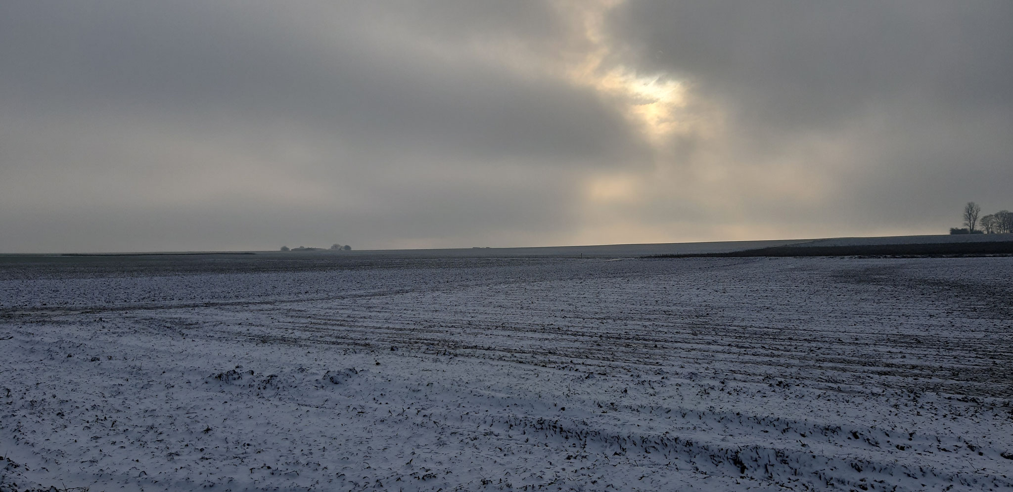 Blick nach Südosten auf die Anhöhe Kaiserstein und den Aussiedlerhof Bässler, 19.01.2024, J. Völlm