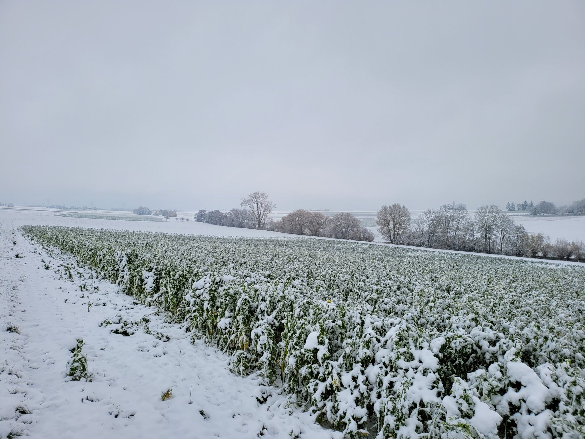 Winterliches Aischbachtal im Langen Feld, 02.12.2023, J. Völlm