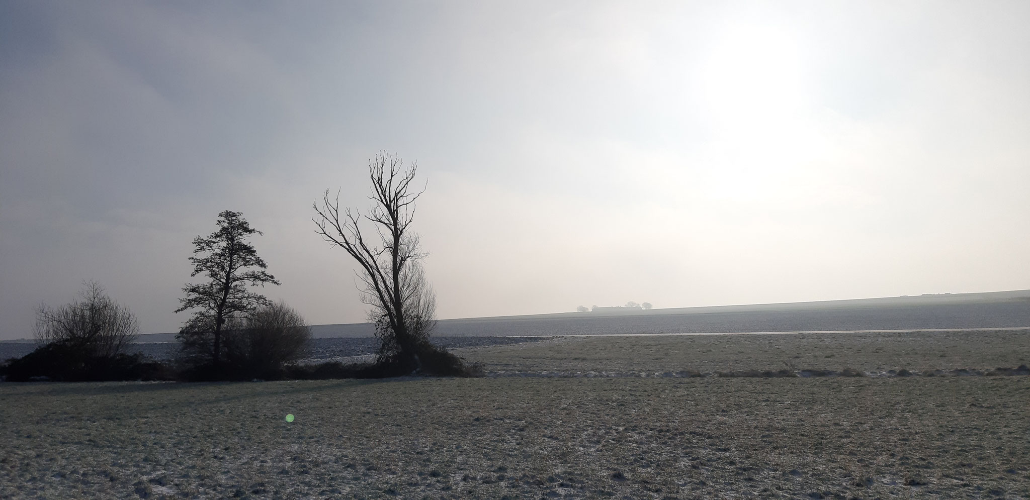 Winterruhe am Aischbachgraben Ost, 19.01.2024, J. Völlm