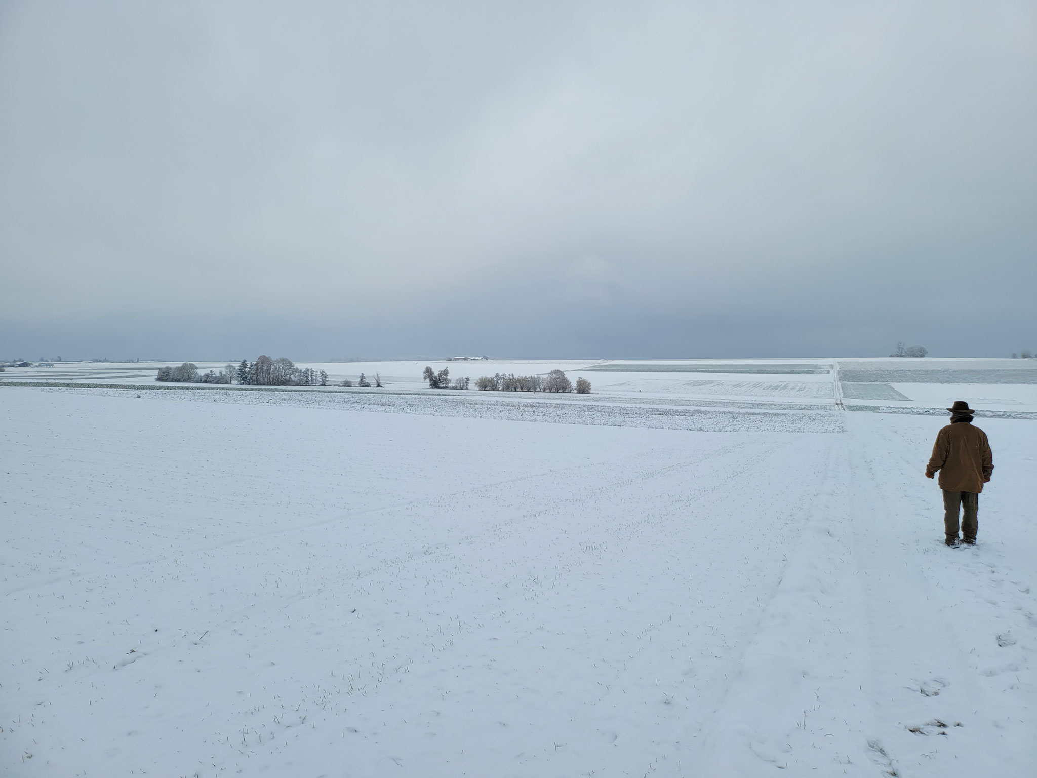 Winterstimmung in der Münchinger Tundra (Langes Feld), 02.12.2023, J. Völlm
