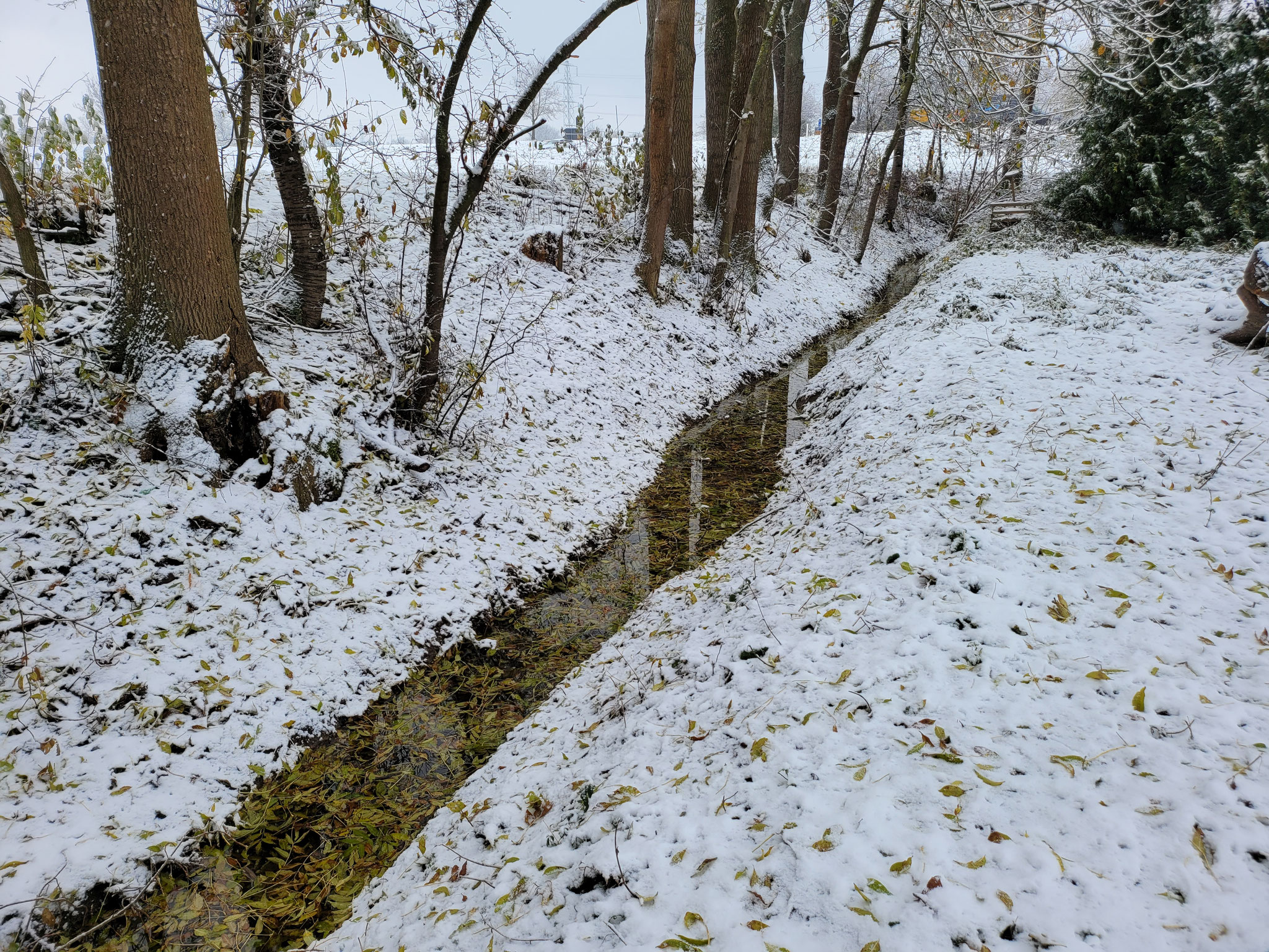 Aischbach kurz vor Verlandungsbereich, Leinfelder Tal, 02.12.2023, J. Völlm