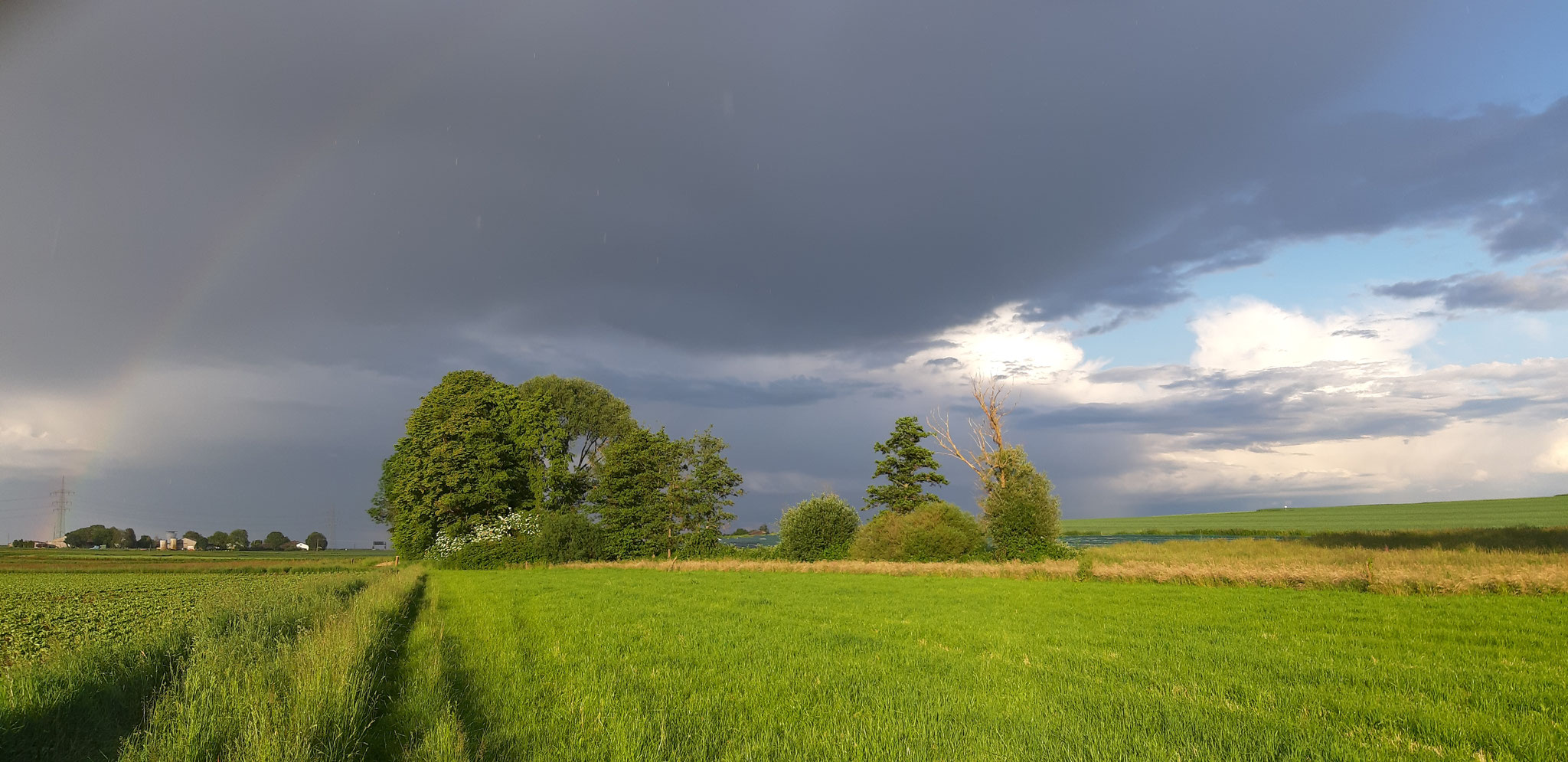 Wetterstimmung am Aischbachgraben Ost, 25.05.2024, J. Völlm