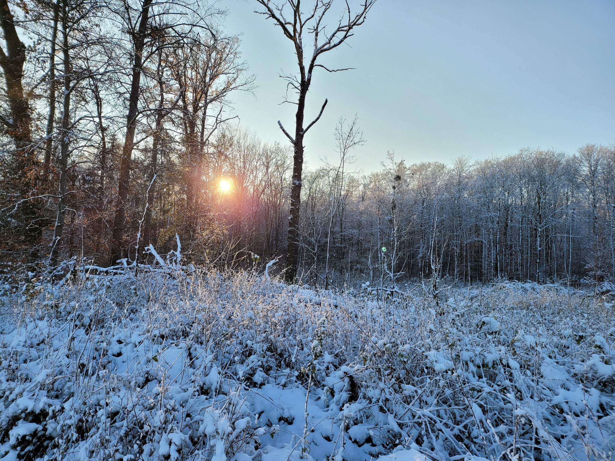 Seewald, 03.12.2023, J. Völlm