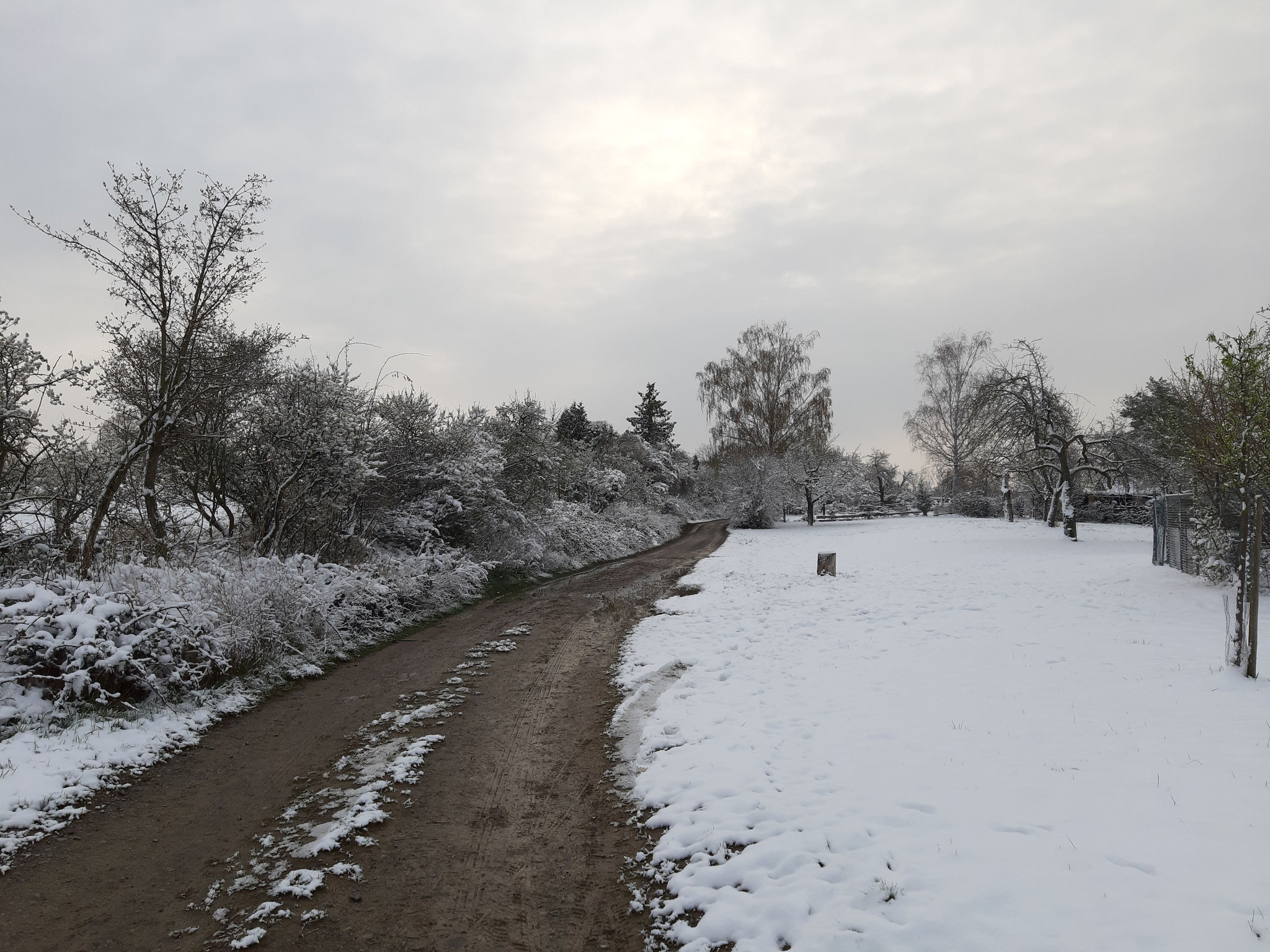 Schneestimmung am Morgen, 03.04.2022, In den Seiten, J. Völlm