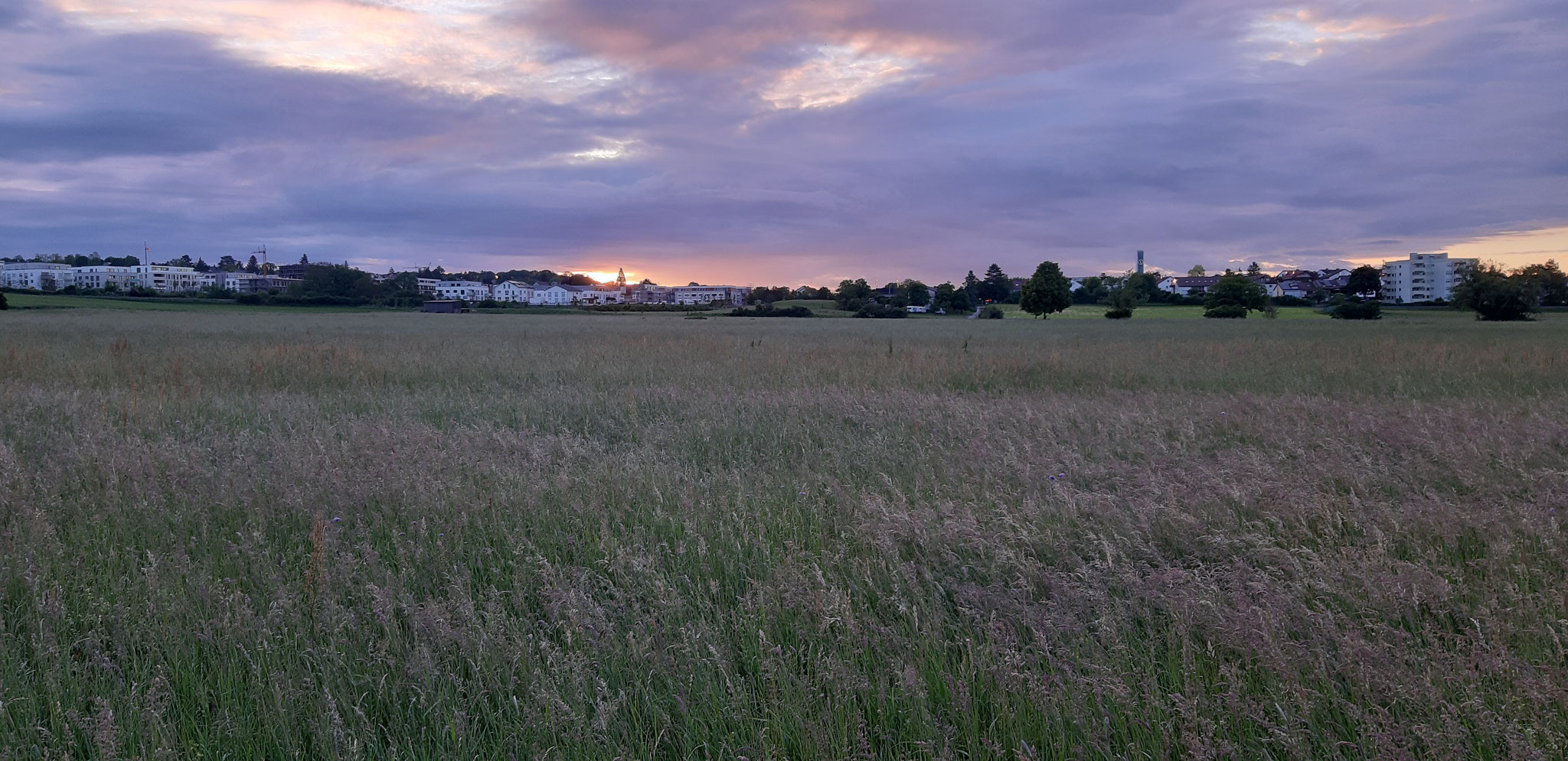 Blick nach Osten mit Sonnenaufgang in den Gschnaidtwiesen, 19.05.2024, J. Völlm