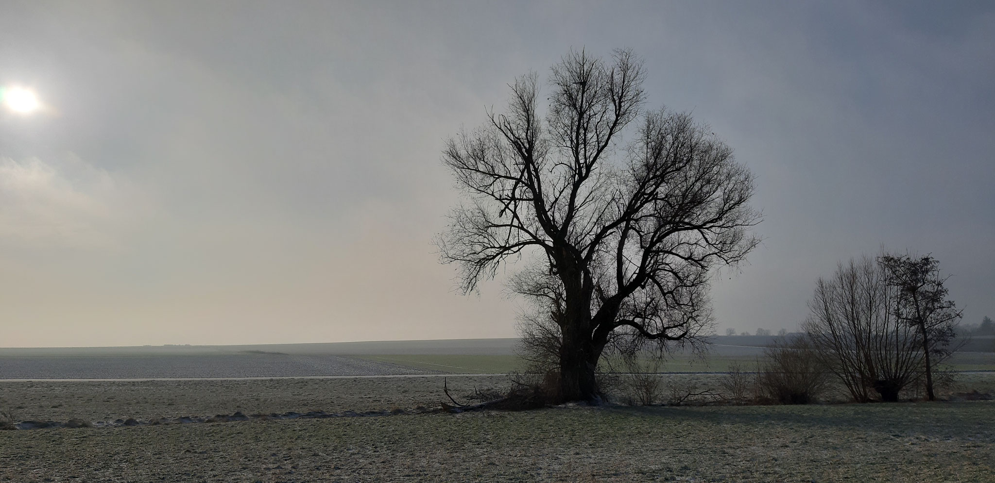 Winterruhe am Aischbachgraben Ost, 19.01.2024, J. Völlm