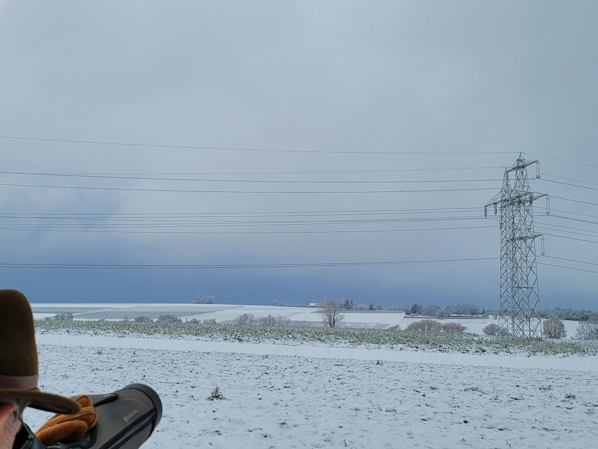 Winterbeobachtung einer Sumpfohreule im Langen Feld, 02.12.2023, J. Völlm