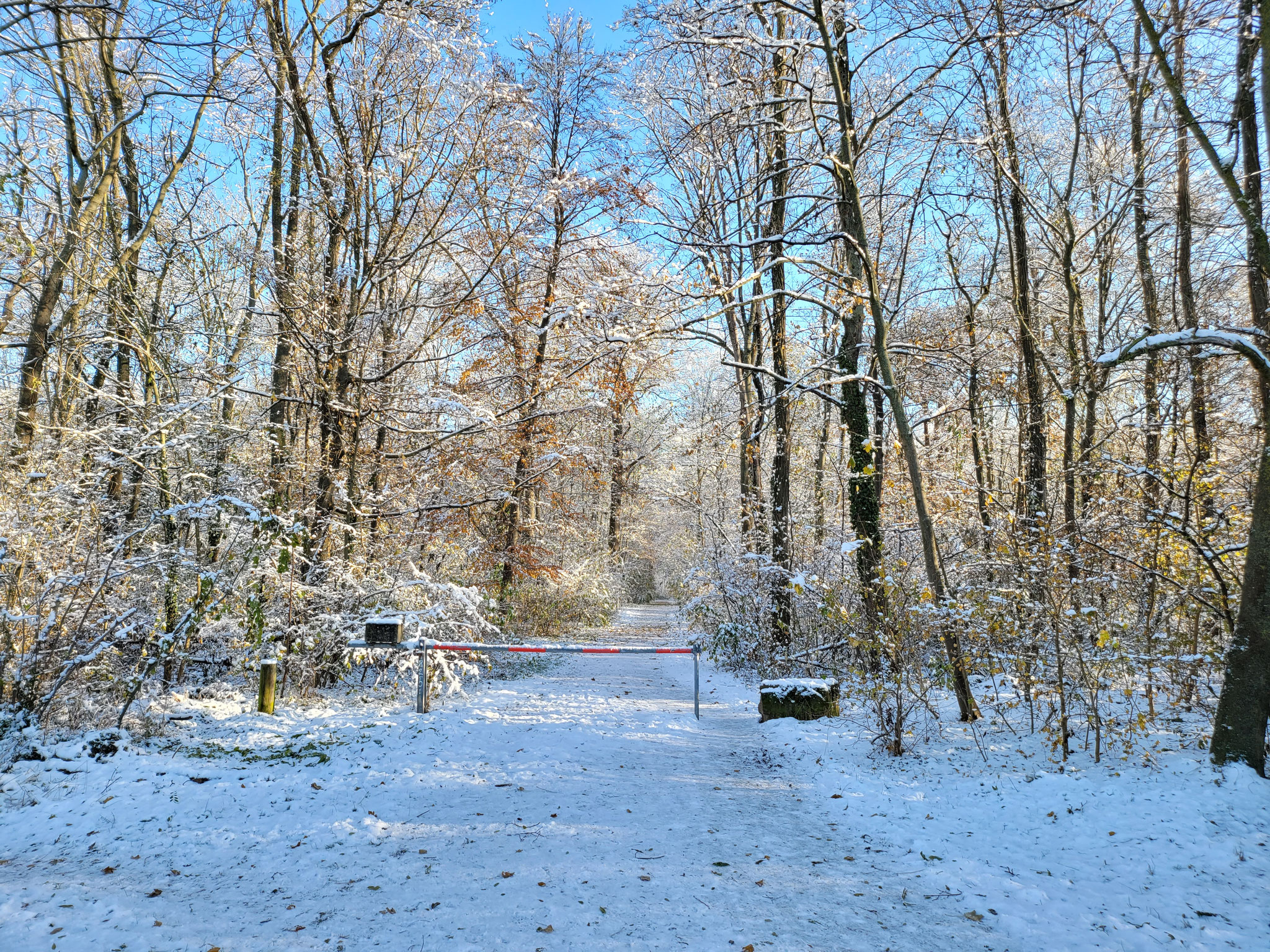 Seewald, 03.12.2023, J. Völlm