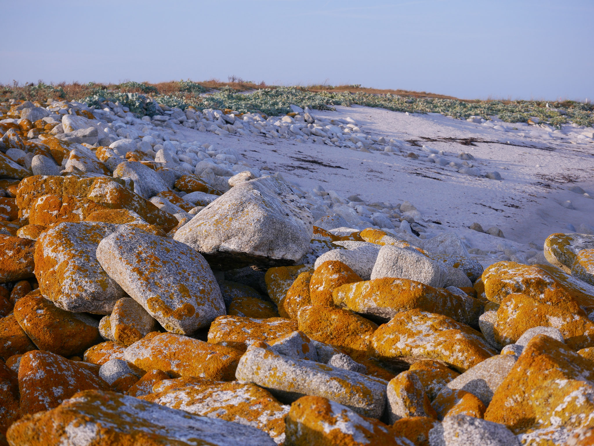 Les Glénans, île du Loch