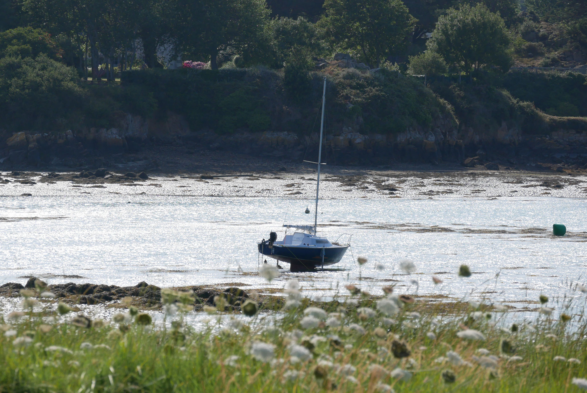 Ile de Bréhat