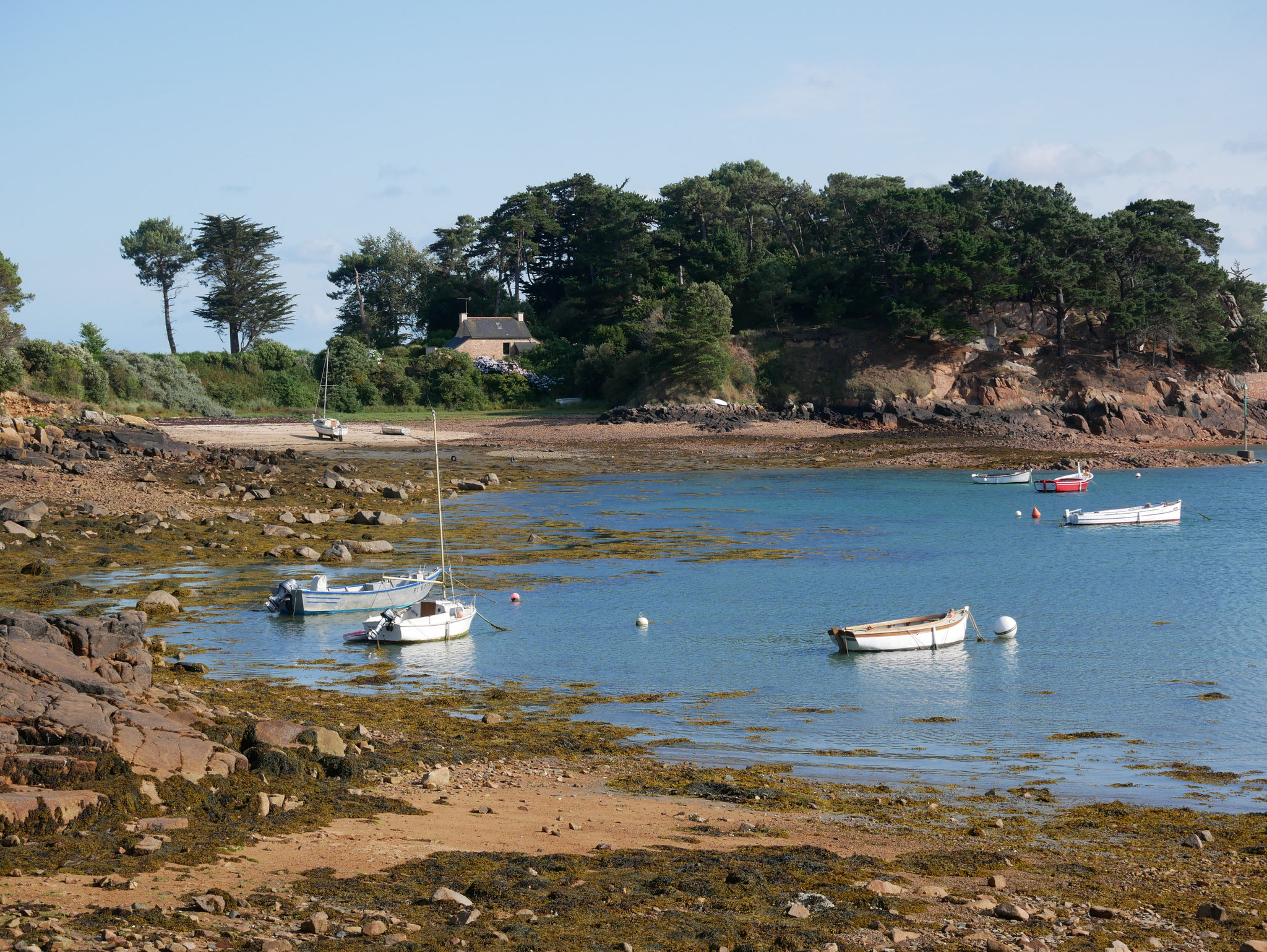 Ile de Bréhat