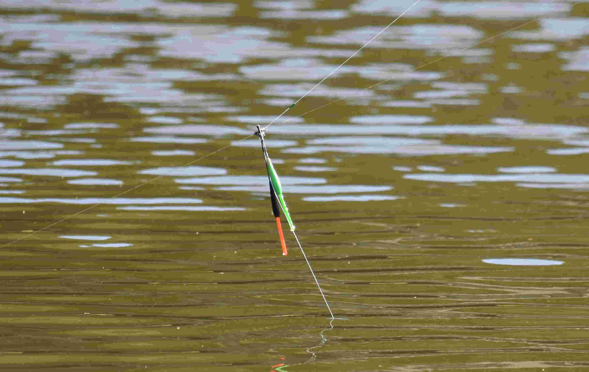 Wem gehört der Fisch?