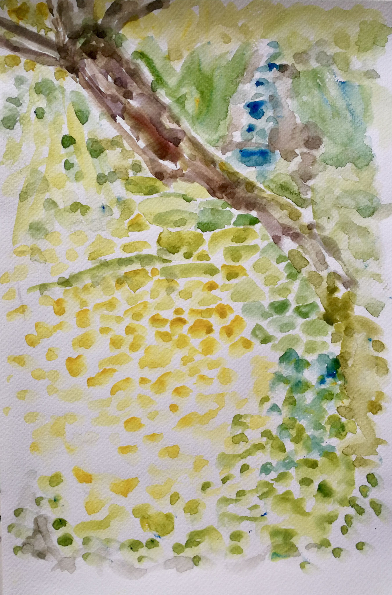 Wiese am Bach, 24x35,5cm, Aquarell, 2017