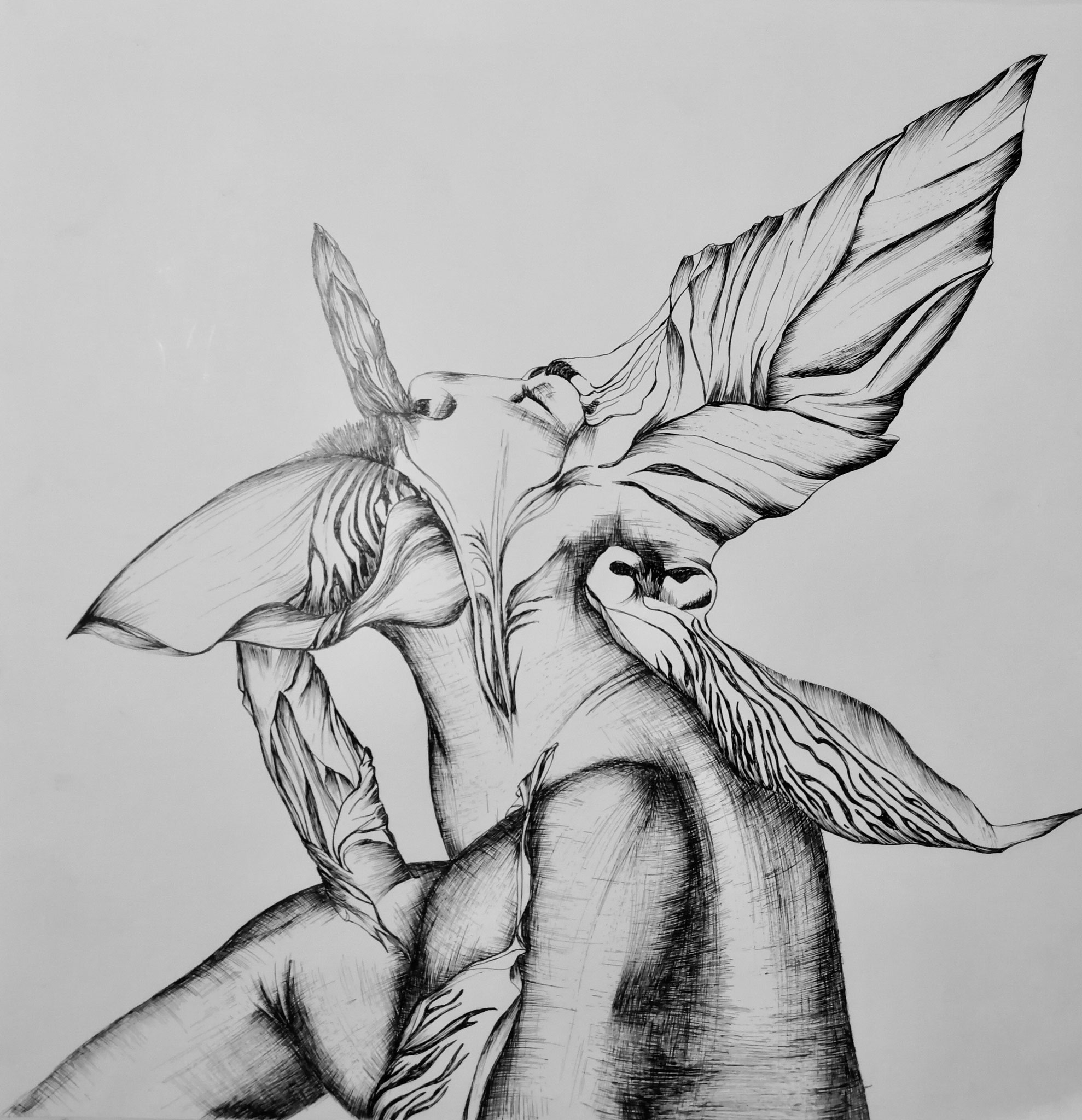 Metamorphose, 41x41cm, Tusche