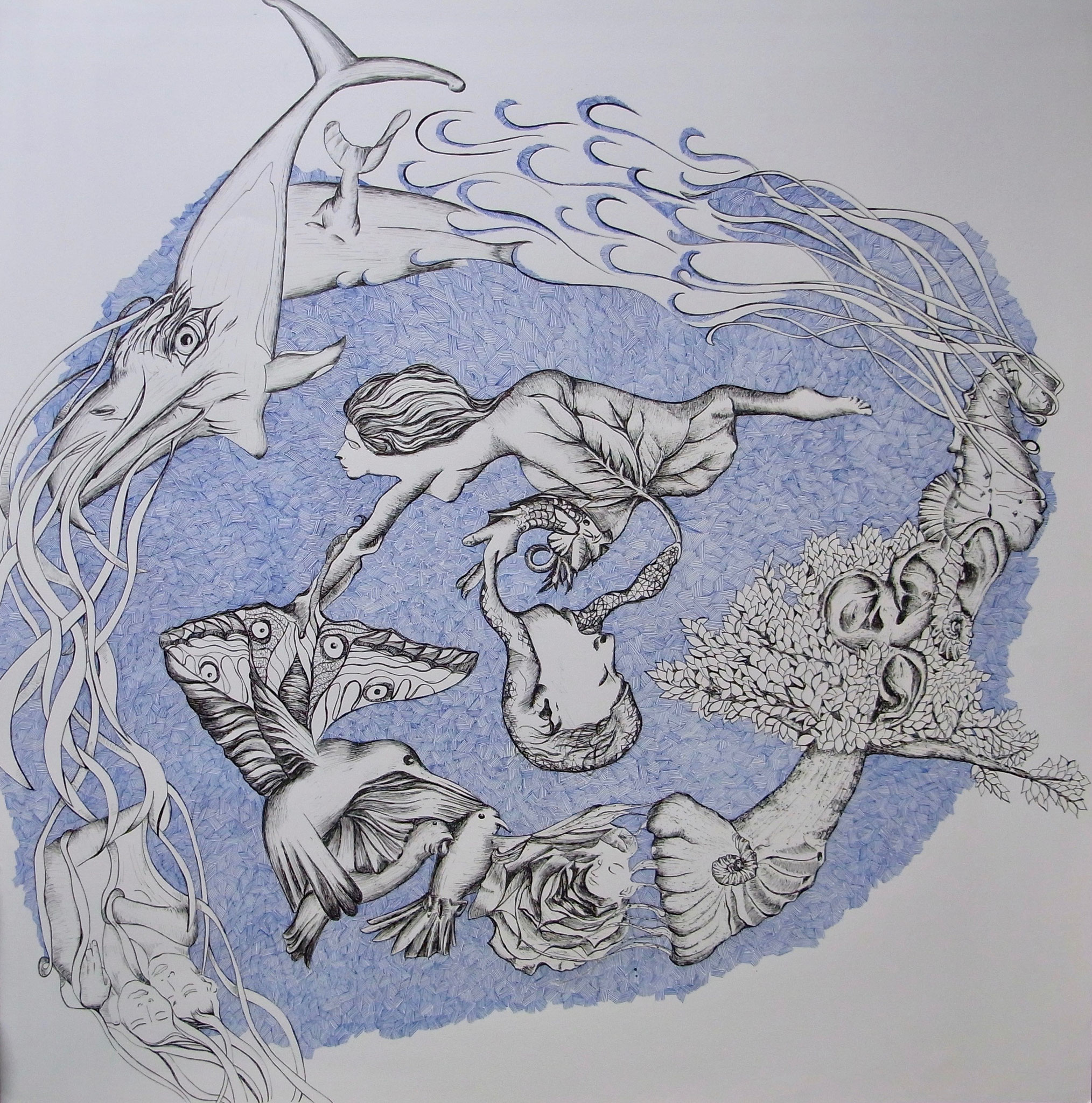 Metamorphosen Schöpfung, 80x80cm, Federzeichnung, Tusche