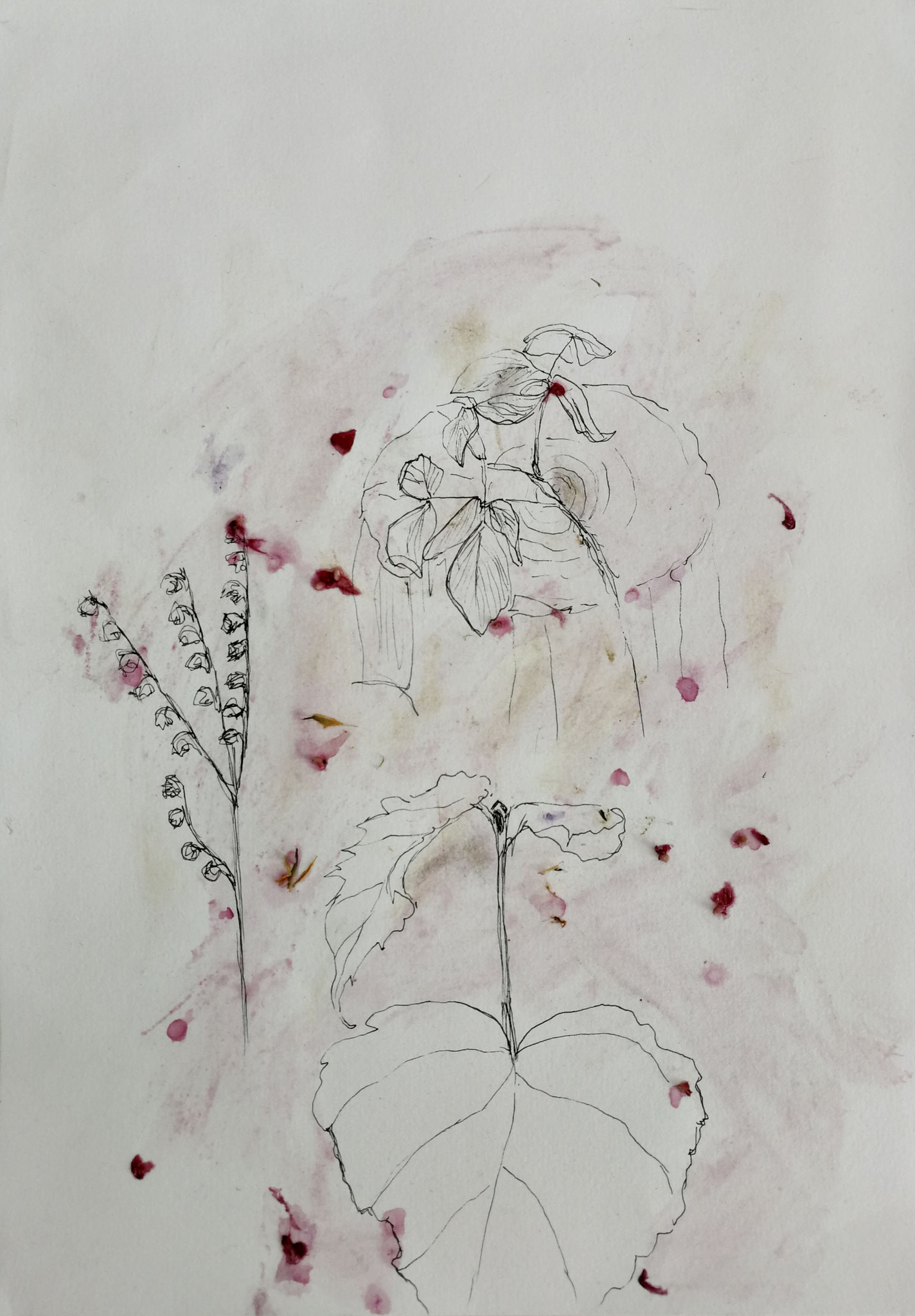 Im Wald, 21x29cm, Tusche und Pflanzenfarbe, 2025