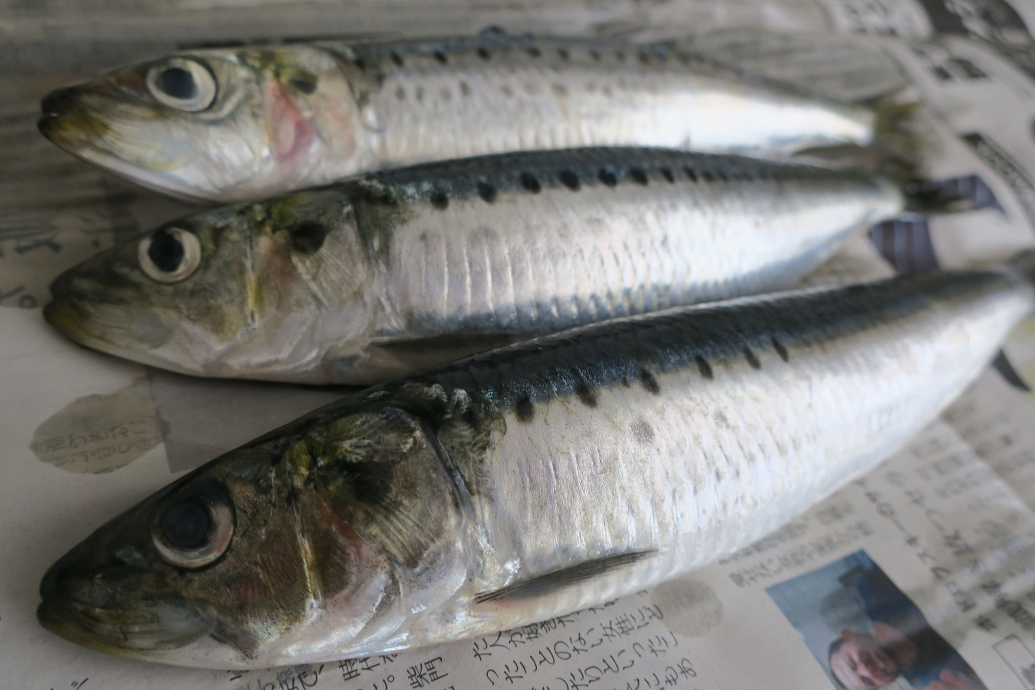 Sardine cooked with ricebran paste （Nukadaki; 鰯の糠炊き） MAYUMI'S