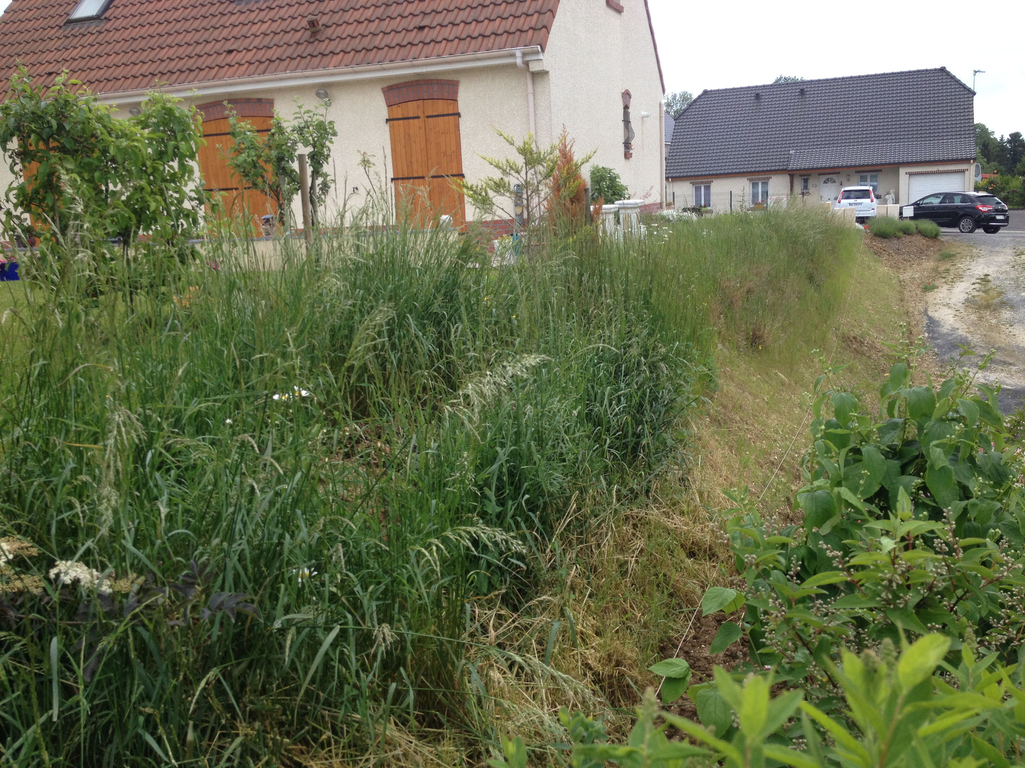 Photo 60 sur 73 AFFAIRE CRIMINELLE en Bande organisées « MES CHERS VOISINS » soit 6256 jours de persécutions criminelles en bandes organisées au cœur même des CARTELS DES HAUTS-DE-FRANCE
