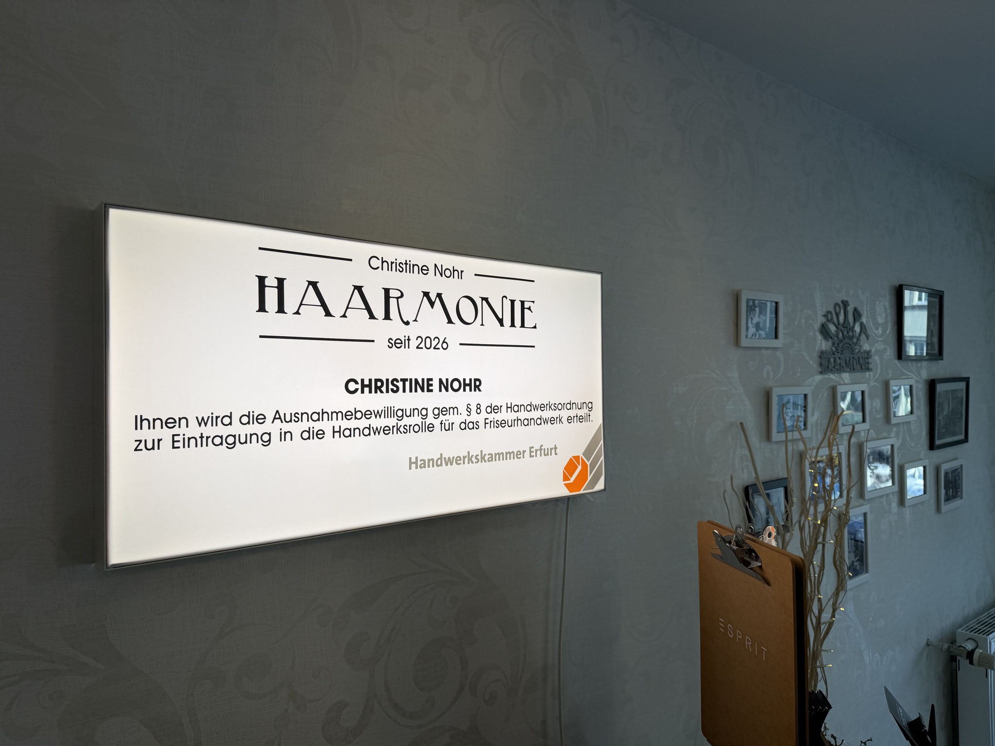 Ein Leuchtbild für Haarmonie