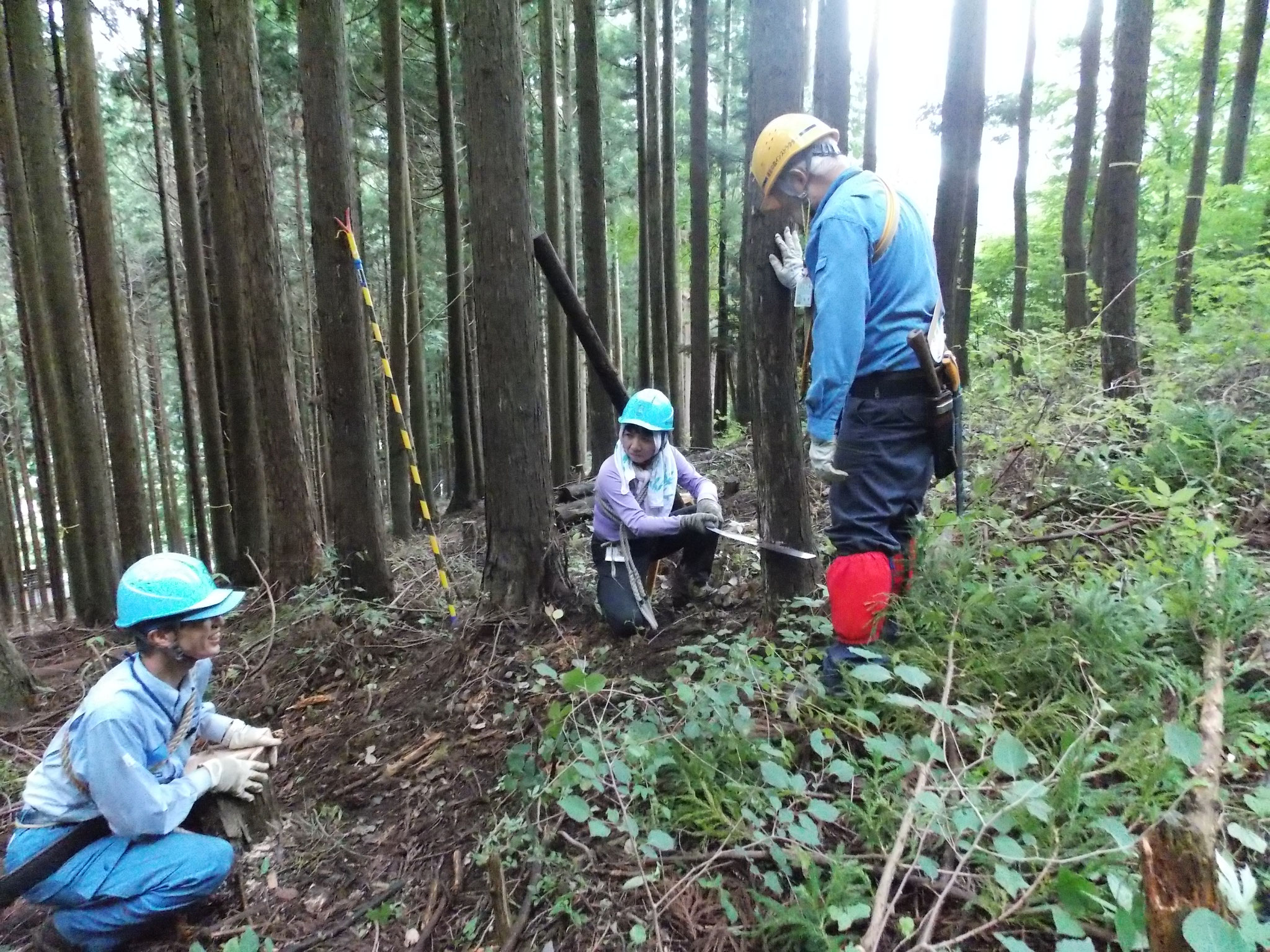 道恵さん受け口作業を、水木さんが鋸の水平か・方向の確認