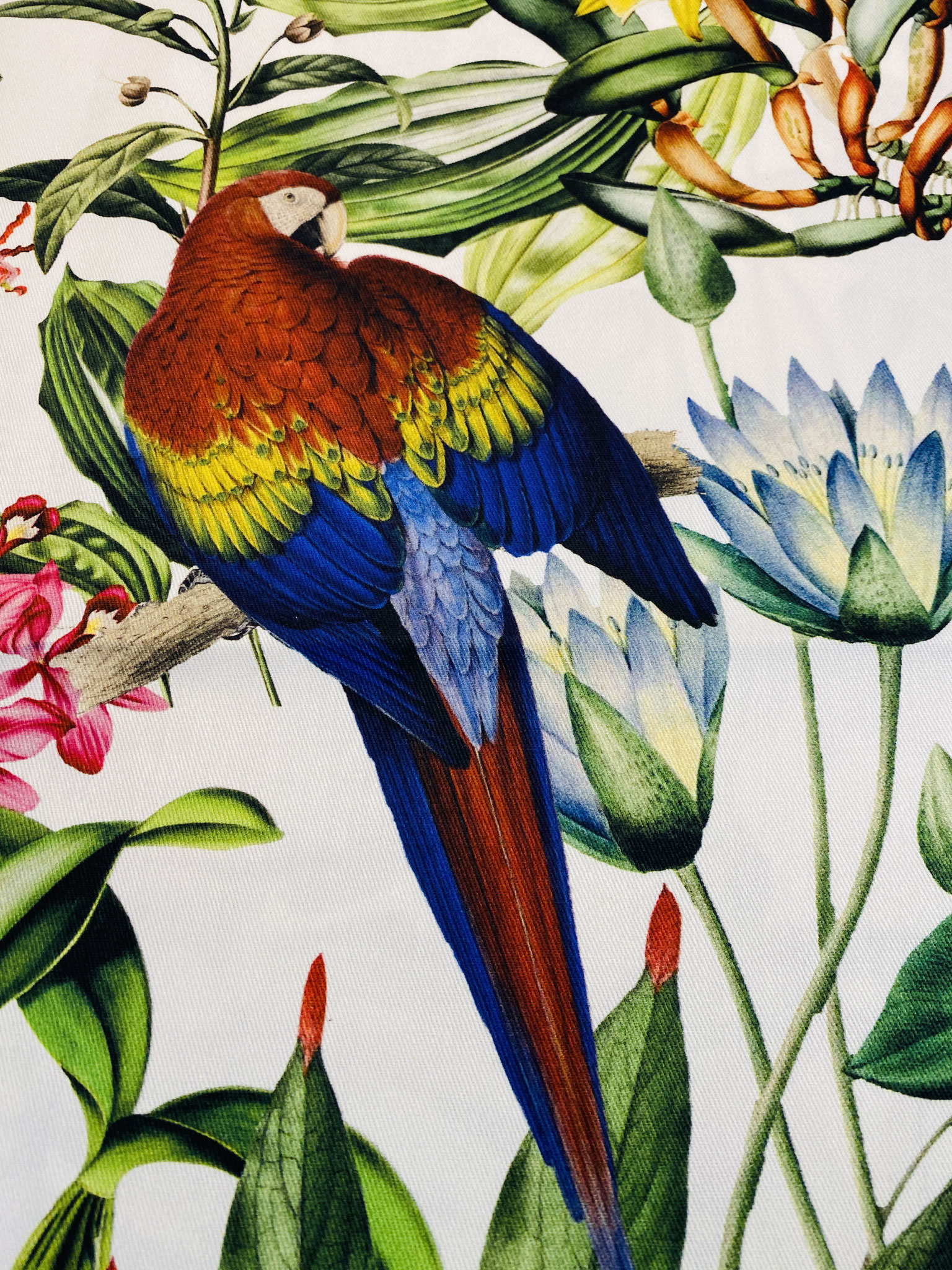 "Vogelparadies" Detail