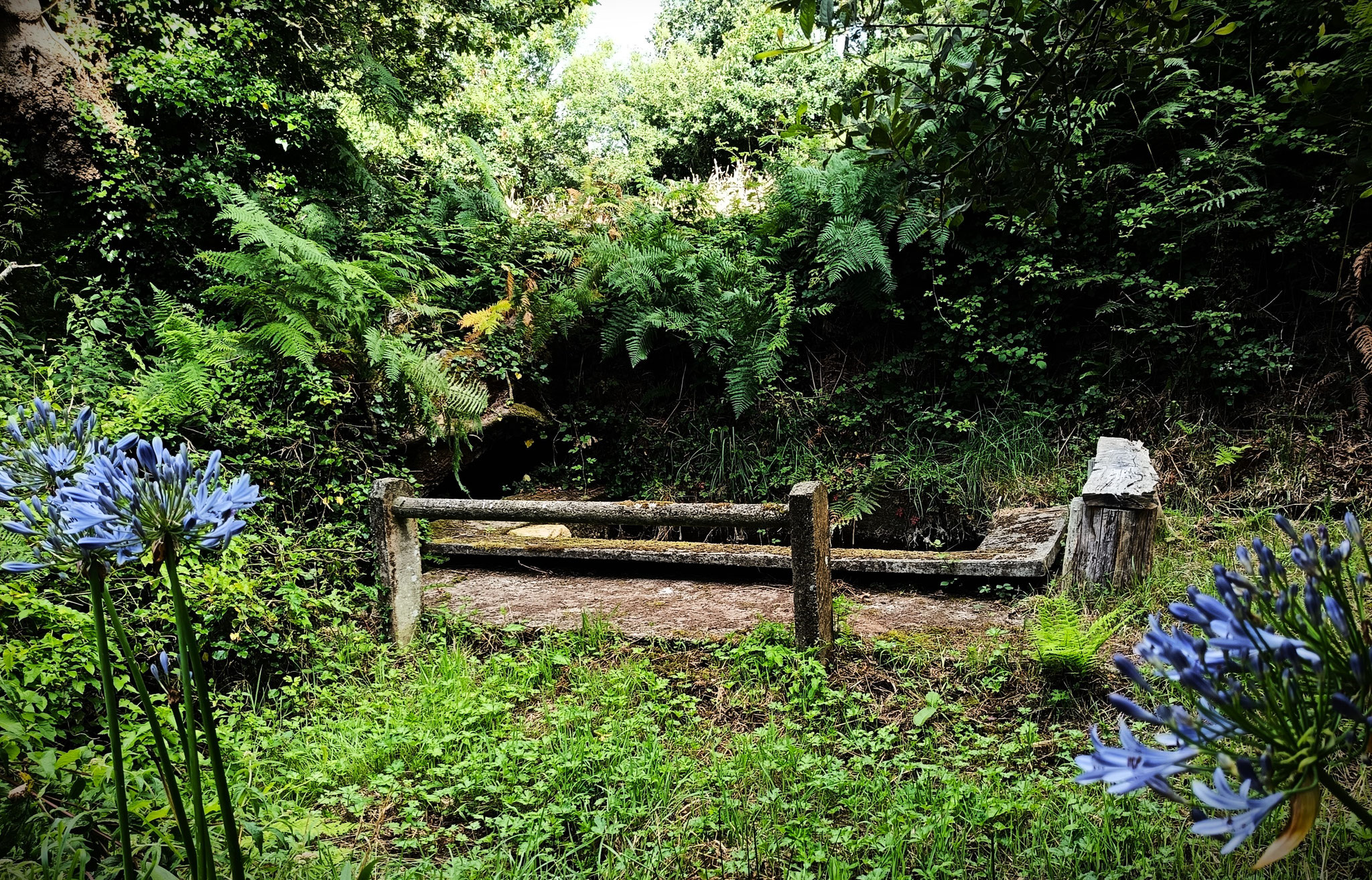 14 - Le lavoir de Botsand