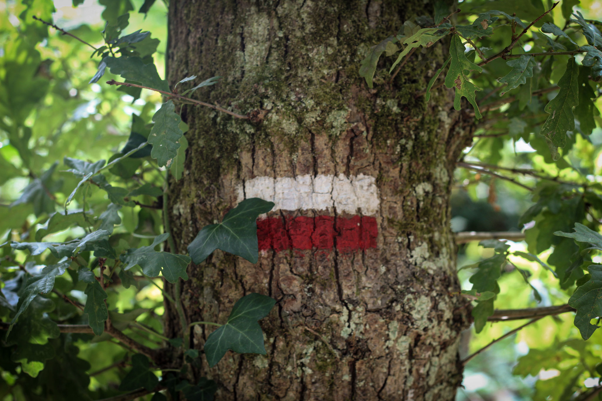 20 - Wood Art
