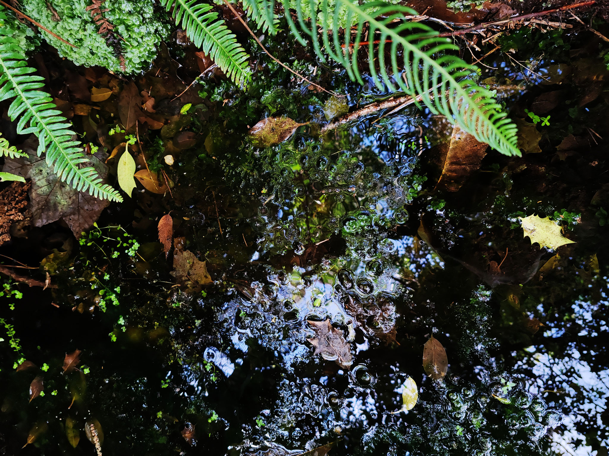 1 - Reflets