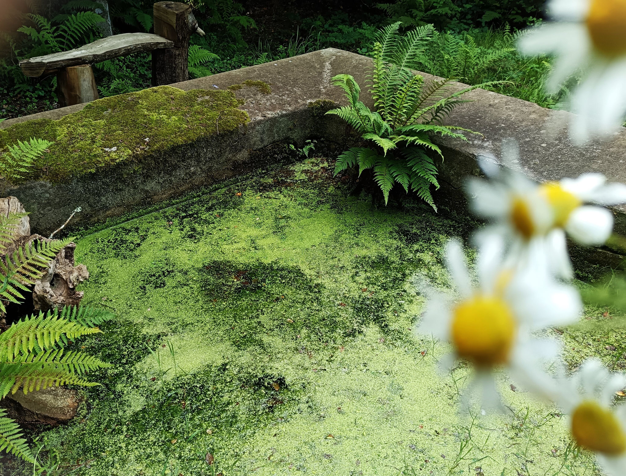 3 - Lavoir de Saint-Efflez
