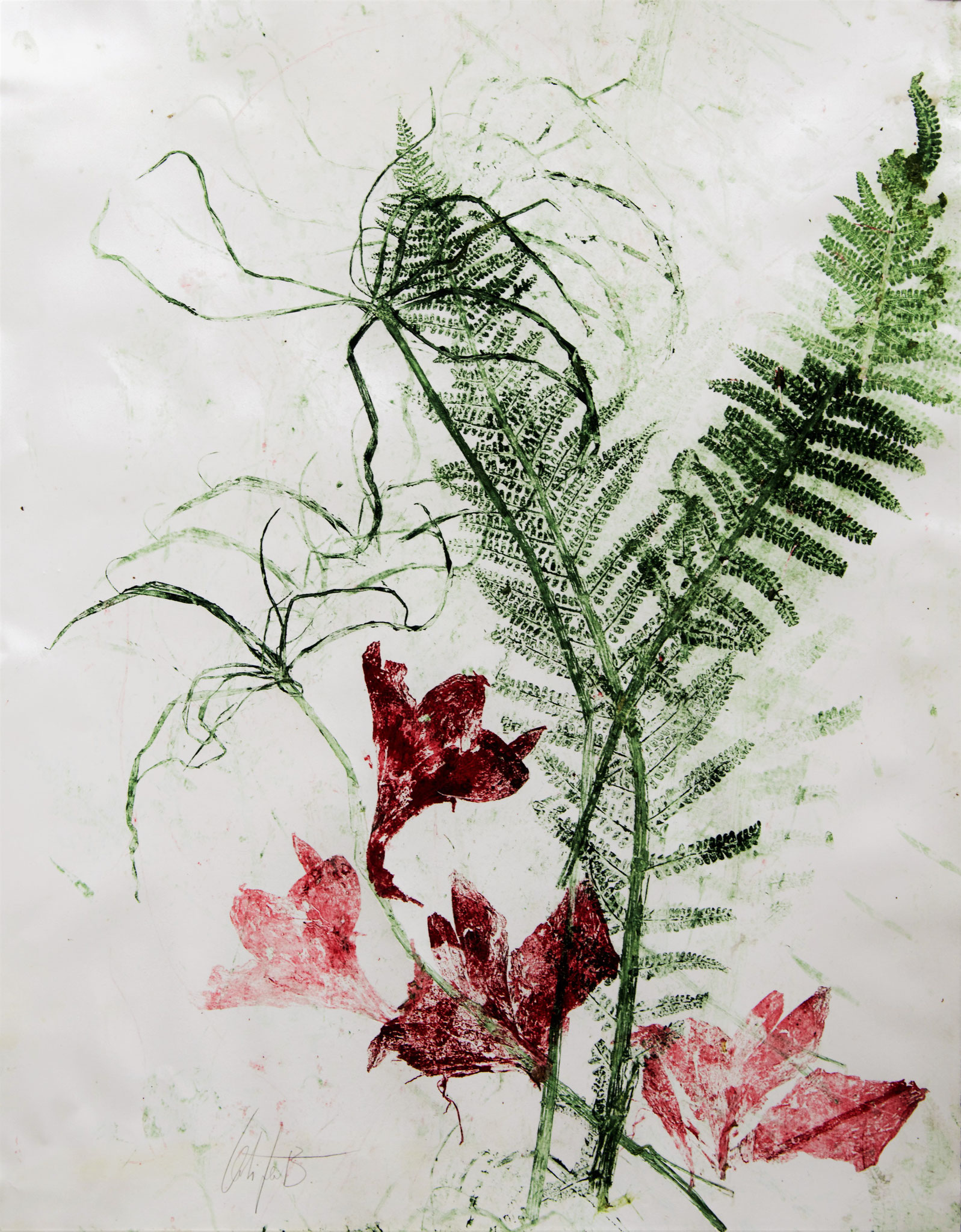 Monotype Latifa Bermes