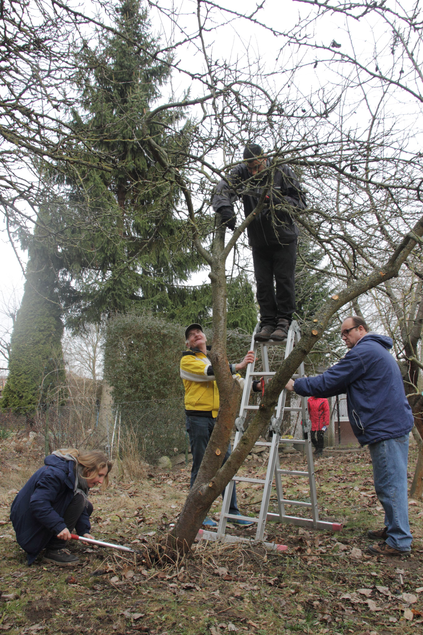 Am 04. März gab es die erste Gemeinschaftsaktion im Garten: Frühjahrsbaumschnitt.