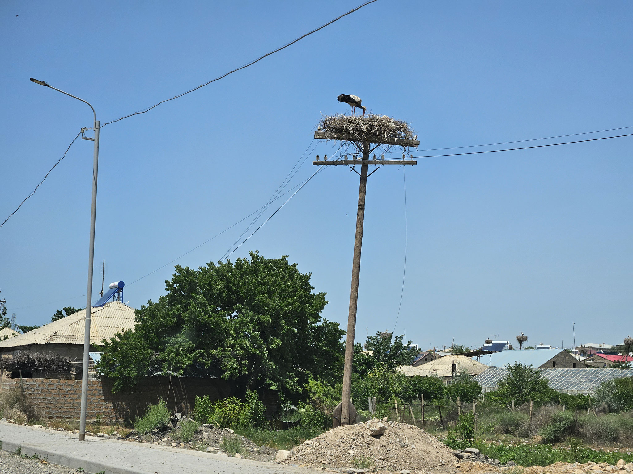 Storchen-Nest in Armenien