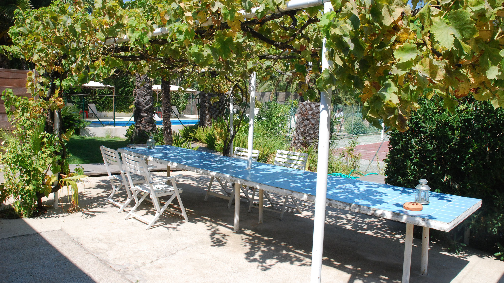Terrasse avec la grande table sous la vigne