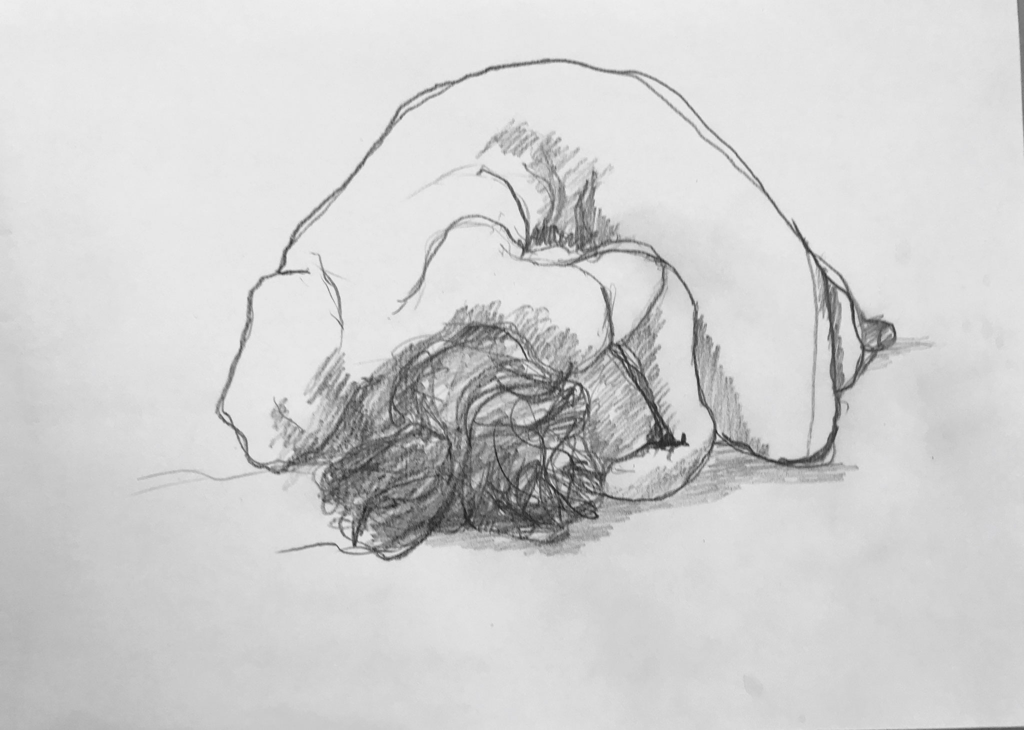 Bleistiftskizze  21x30cm